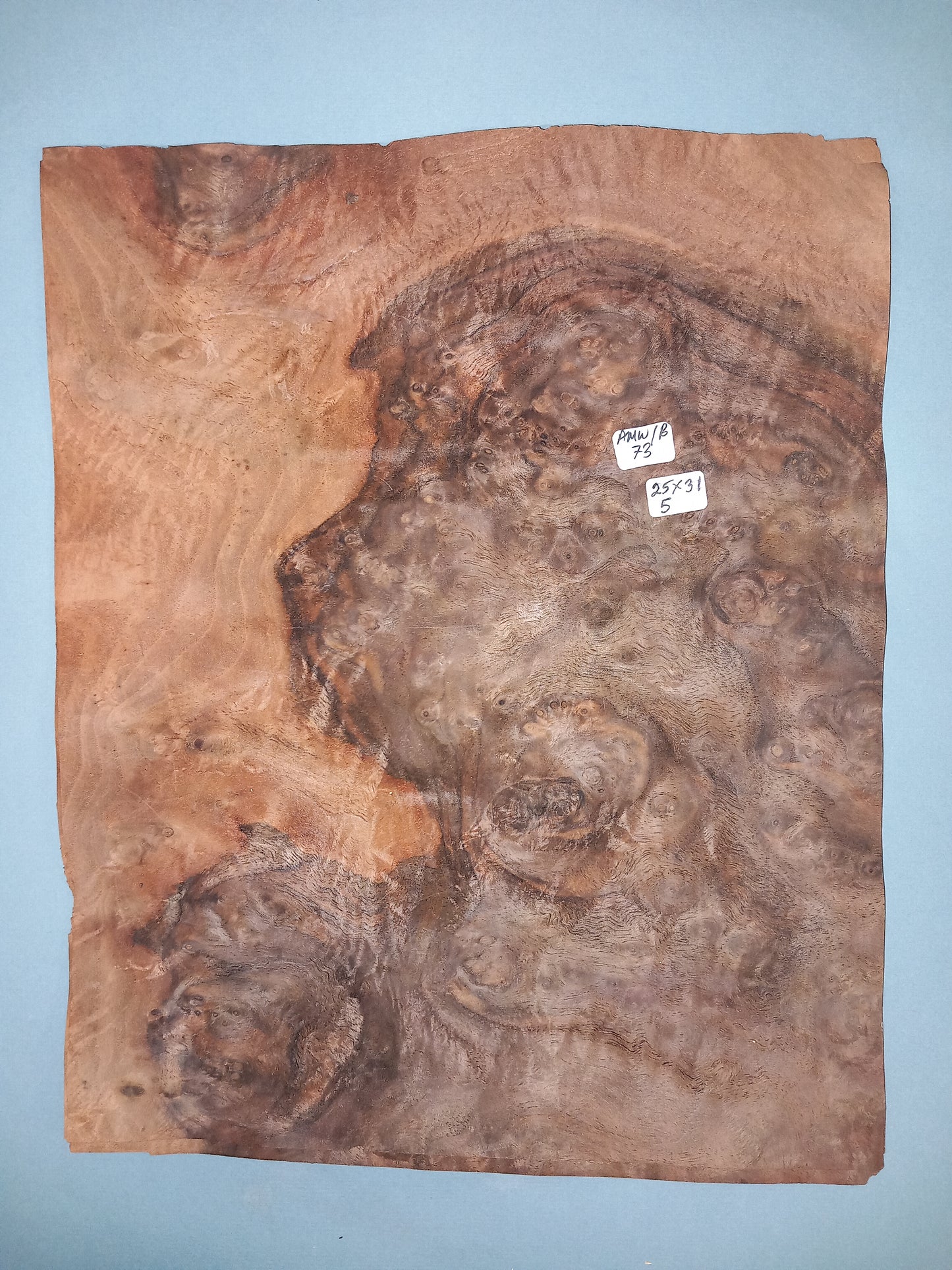CONSECUTIVE SHEETS OF AMERICAN WALNUT BURR VENEER 25 X 31 CM