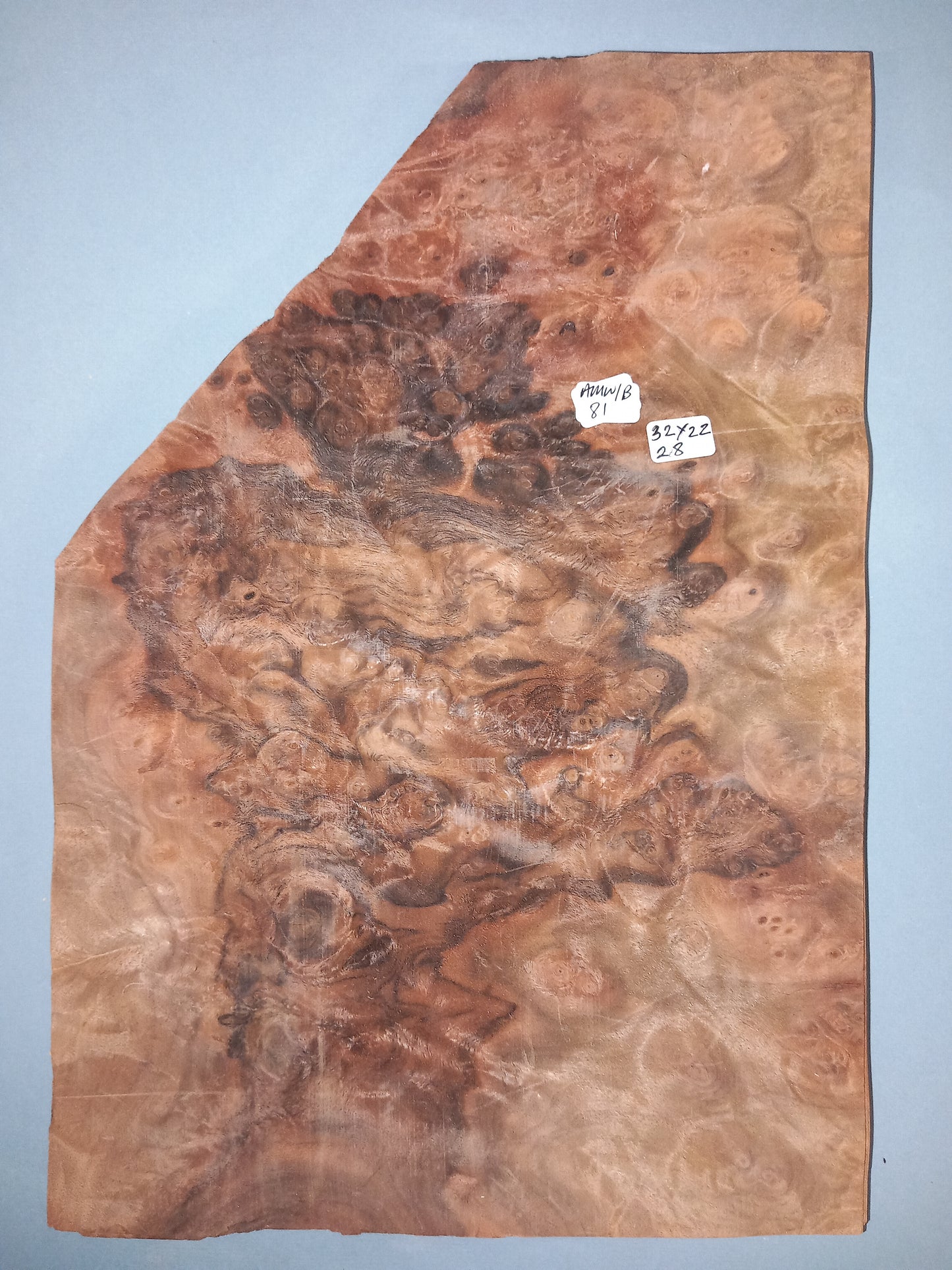 CONSECUTIVE SHEETS OF AMERICAN WALNUT BURR VENEER 32 X 22 CM