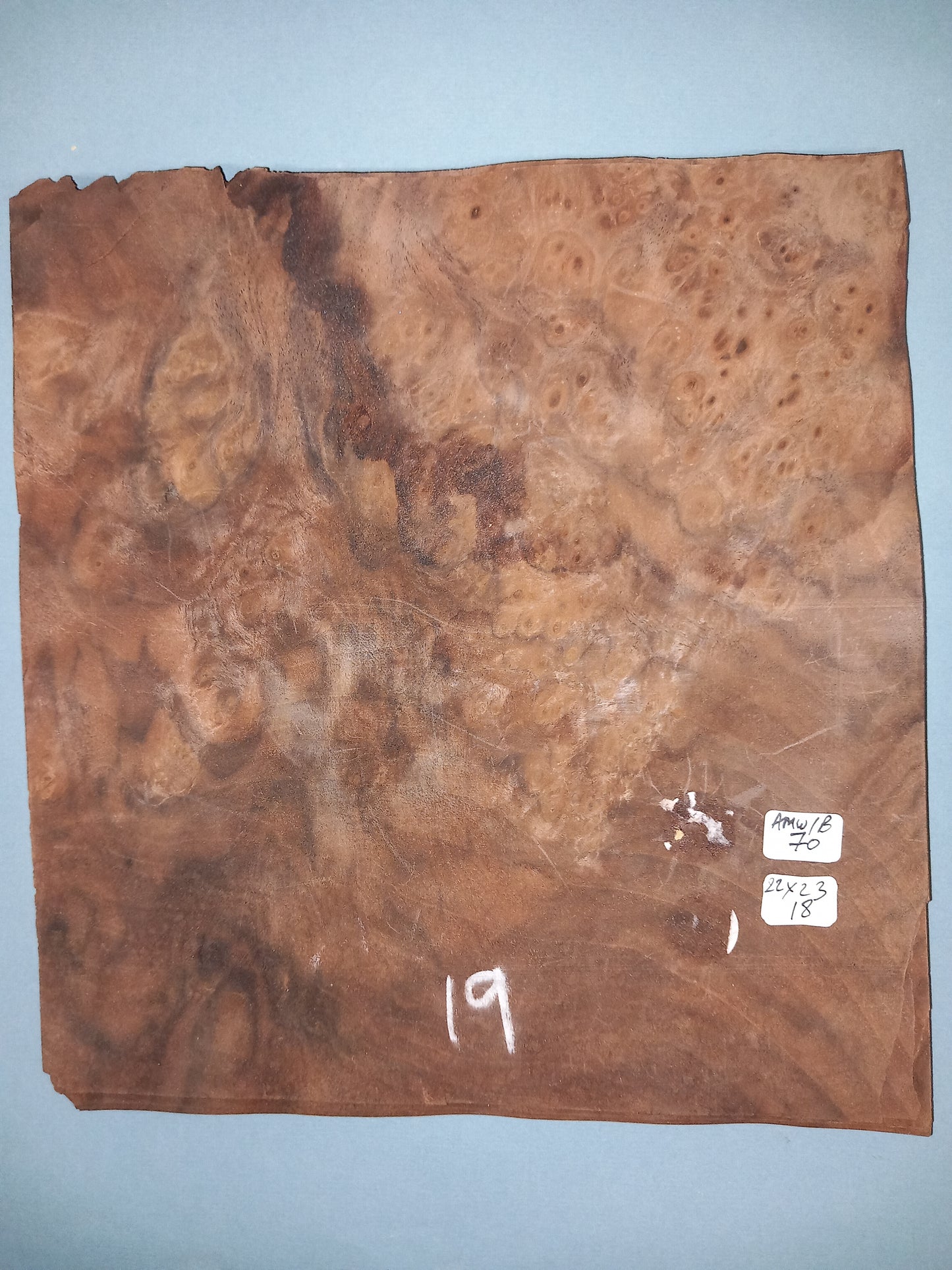 WALNUT AMERICAN BURR - 1 CONSECUTIVE SHEET 22x23cm