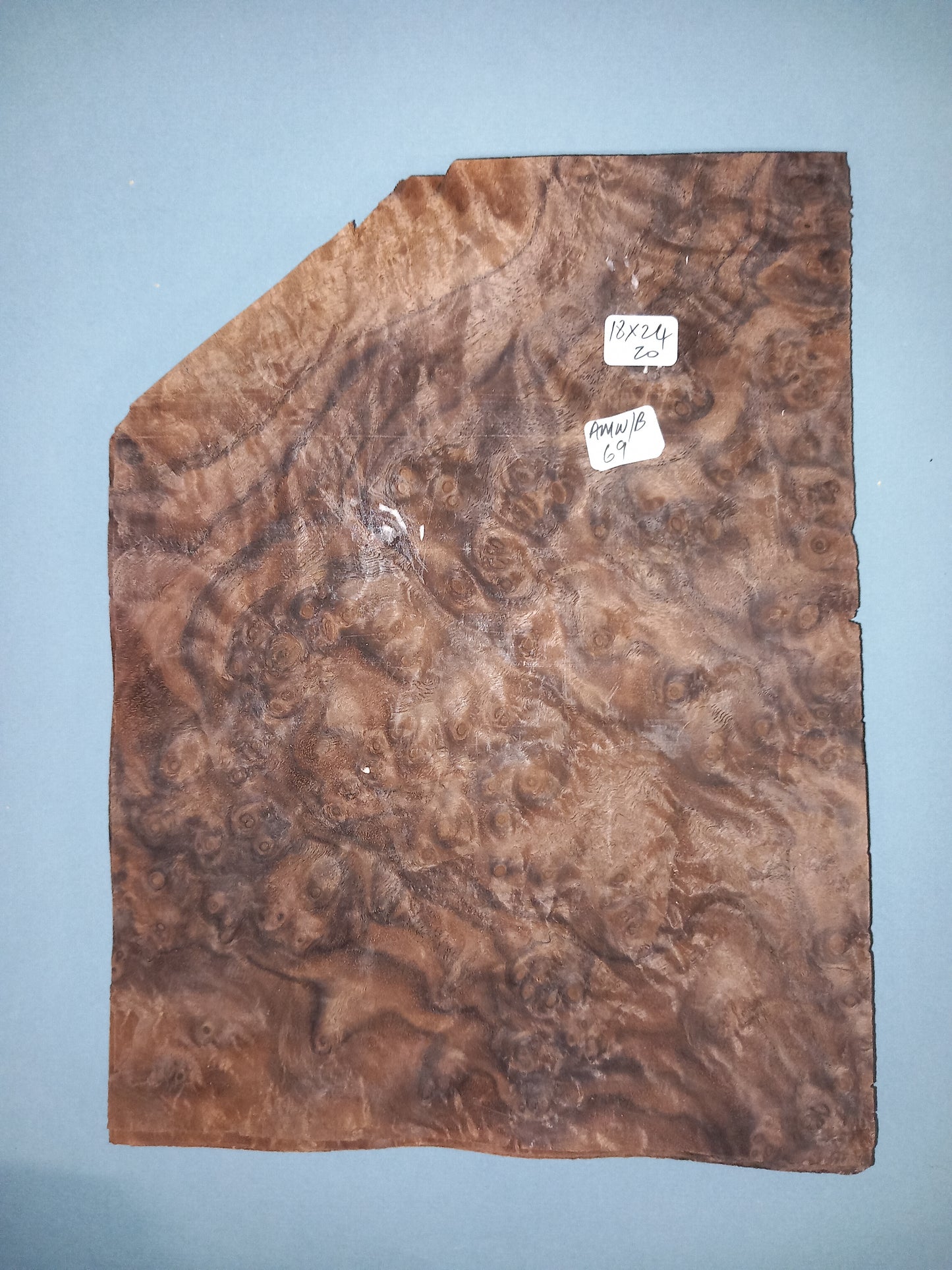 CONSECUTIVE SHEETS OF AMERICAN WALNUT BURR VENEER 18 X 24 CM