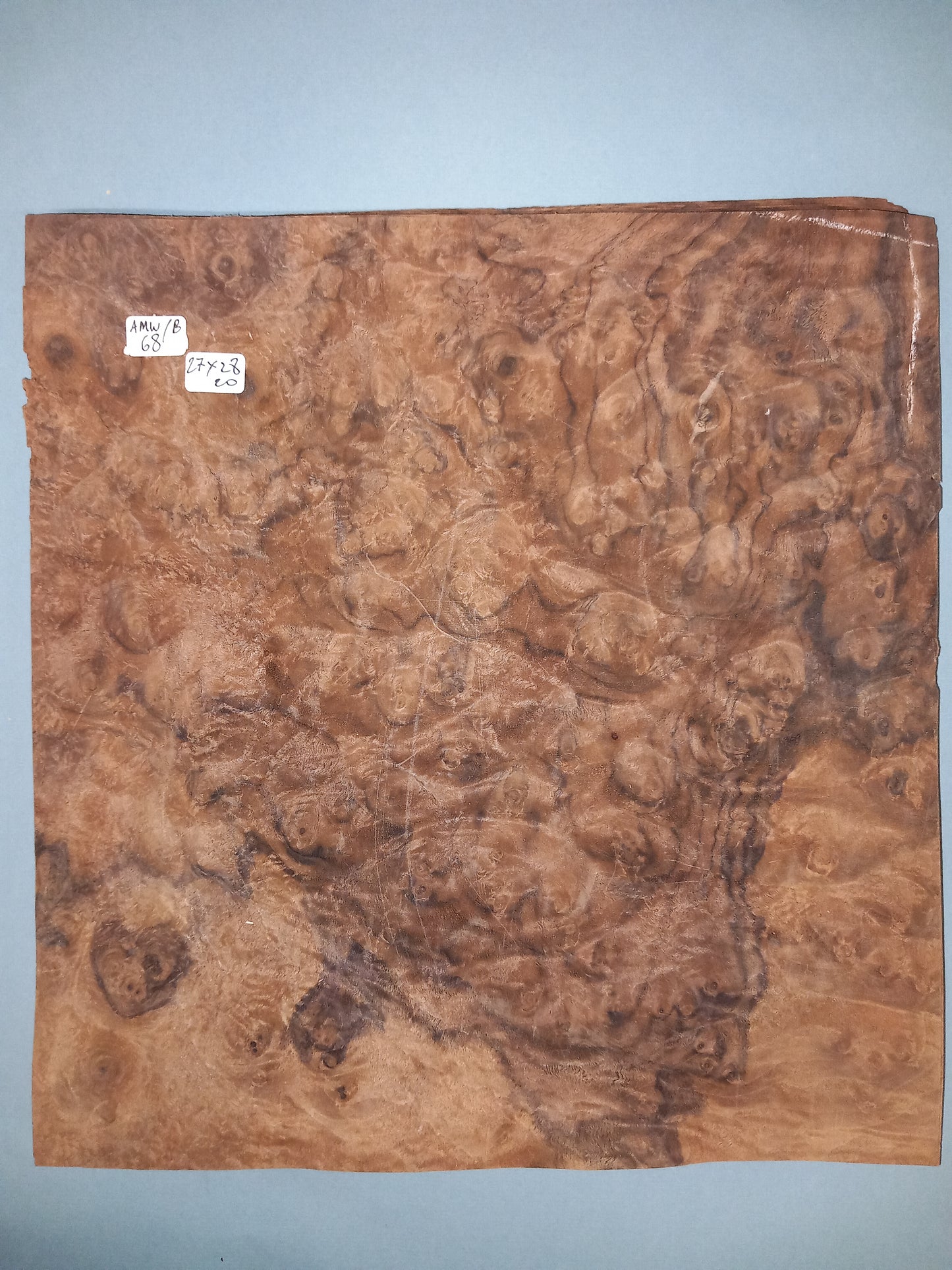 CONSECUTIVE SHEETS OF AMERICAN WALNUT BURR VENEER 27 X 28 CM
