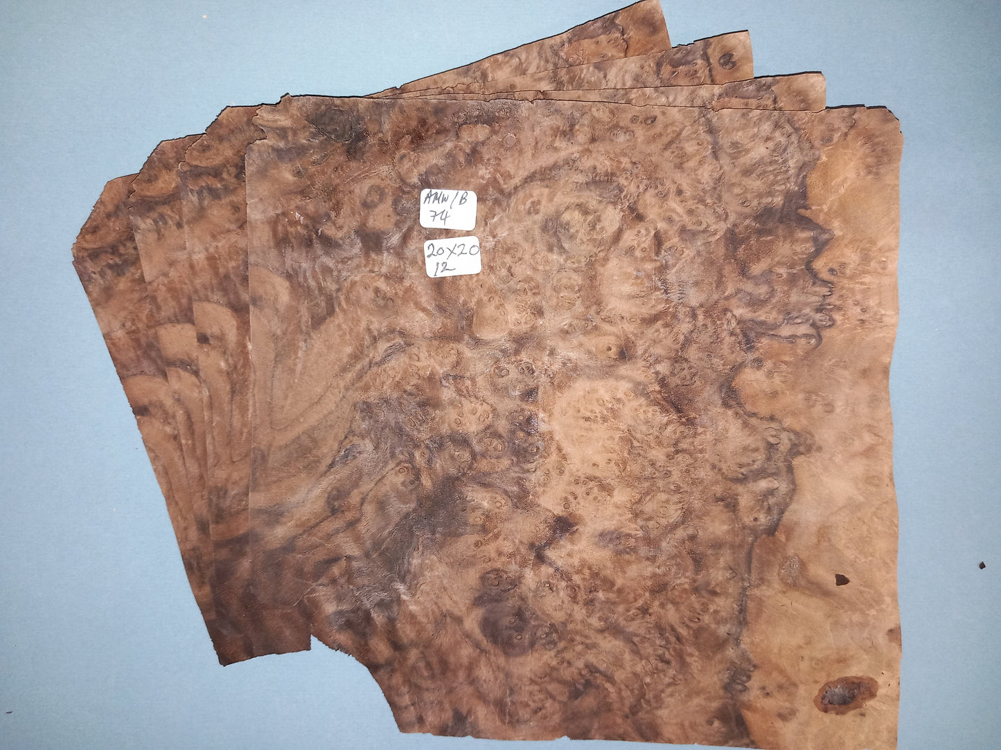 4 CONSECUTIVE SHEETS OF AMERICAN WALNUT BURR VENEER 20 X 20 CM