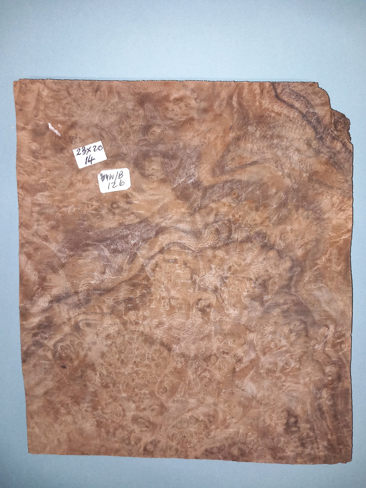 CONSECUTIVE SHEETS OF AMERICAN WALNUT BURR VENEER