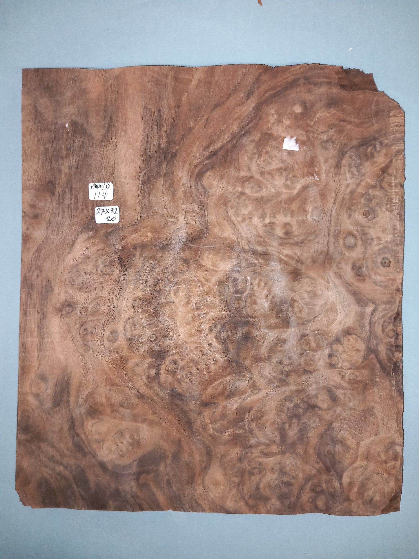 CONSECUTIVE SHEETS OF AMERICAN WALNUT BURR VENEER 27 X 32 CM