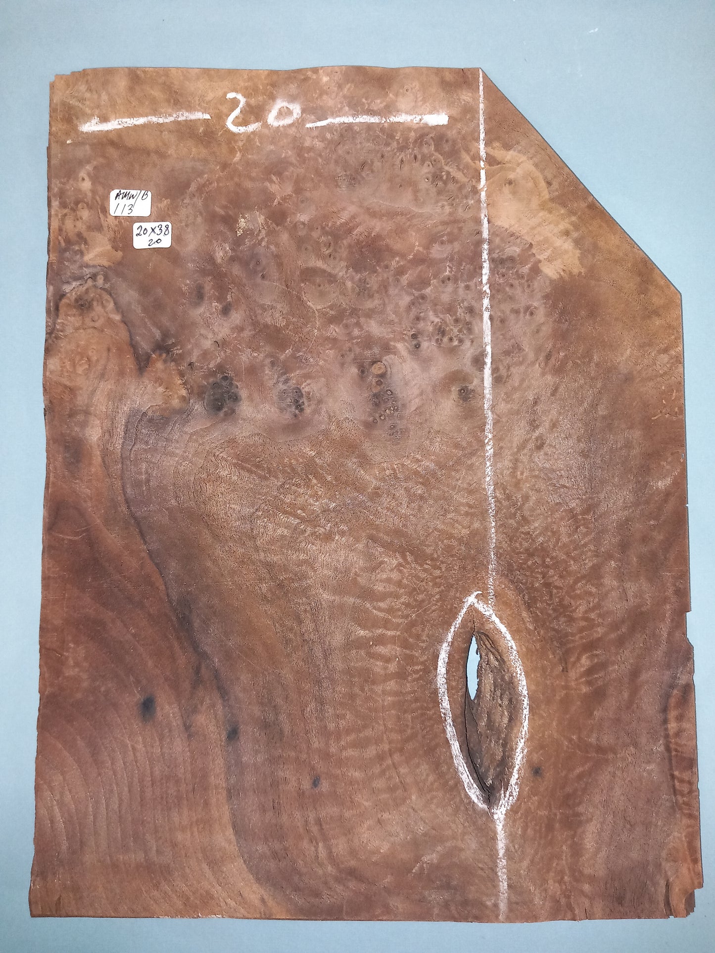 CONSECUTIVE SHEETS OF AMERICAN WALNUT BURR VENEER 20 X 38 CM