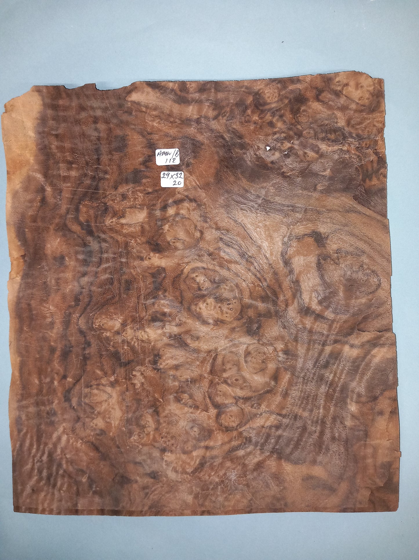CONSECUTIVE SHEETS OF AMERICAN WALNUT BURR VENEER 29 X 32 CM