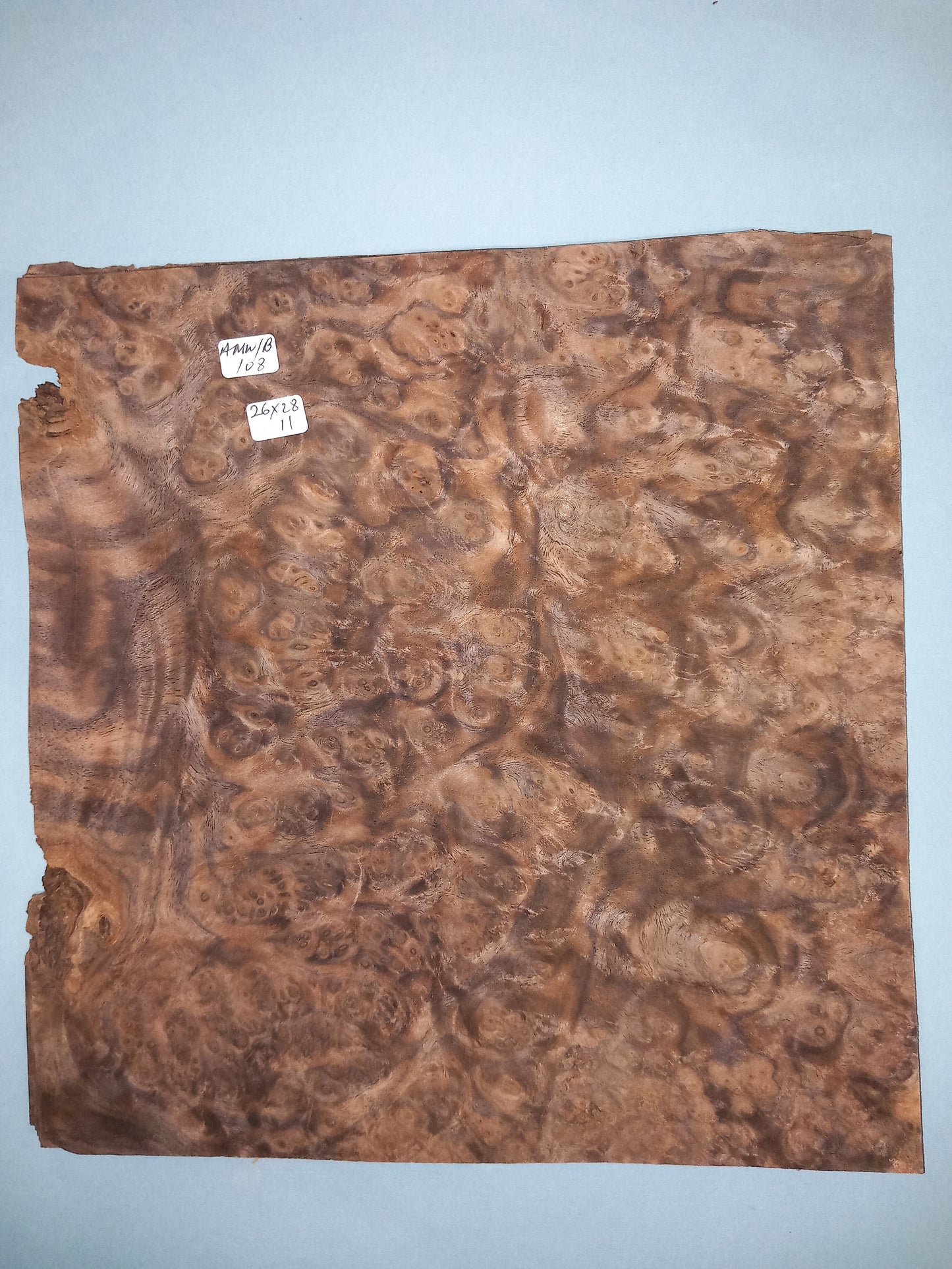 CONSECUTIVE SHEETS OF AMERICAN WALNUT BURR VENEER 26 X 28 CM