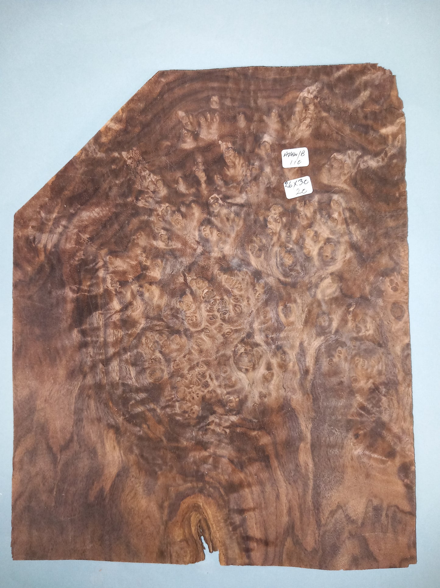 CONSECUTIVE SHEETS OF AMERICAN WALNUT BURR VENEER 26 X 30 CM