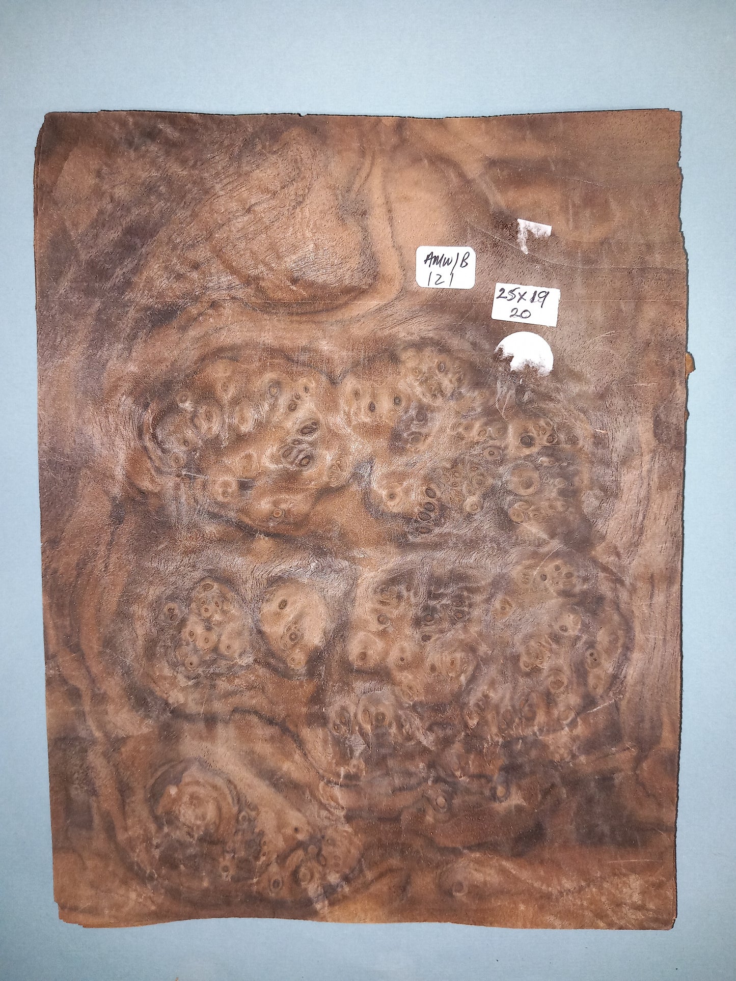 CONSECUTIVE SHEETS OF AMERICAN WALNUT BURR VENEER 25 X 19 CM