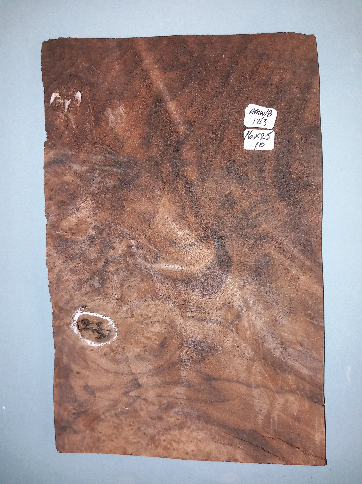 CONSECUTIVE SHEETS OF AMERICAN WALNUT BURR VENEER 16 X 25 CM
