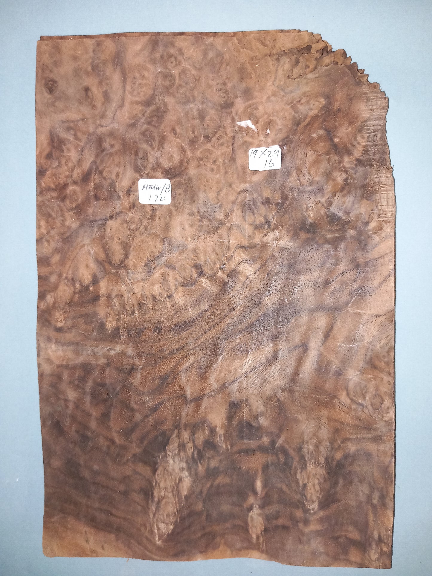 CONSECUTIVE SHEETS OF AMERICAN WALNUT BURR VENEER 19 X 29 CM