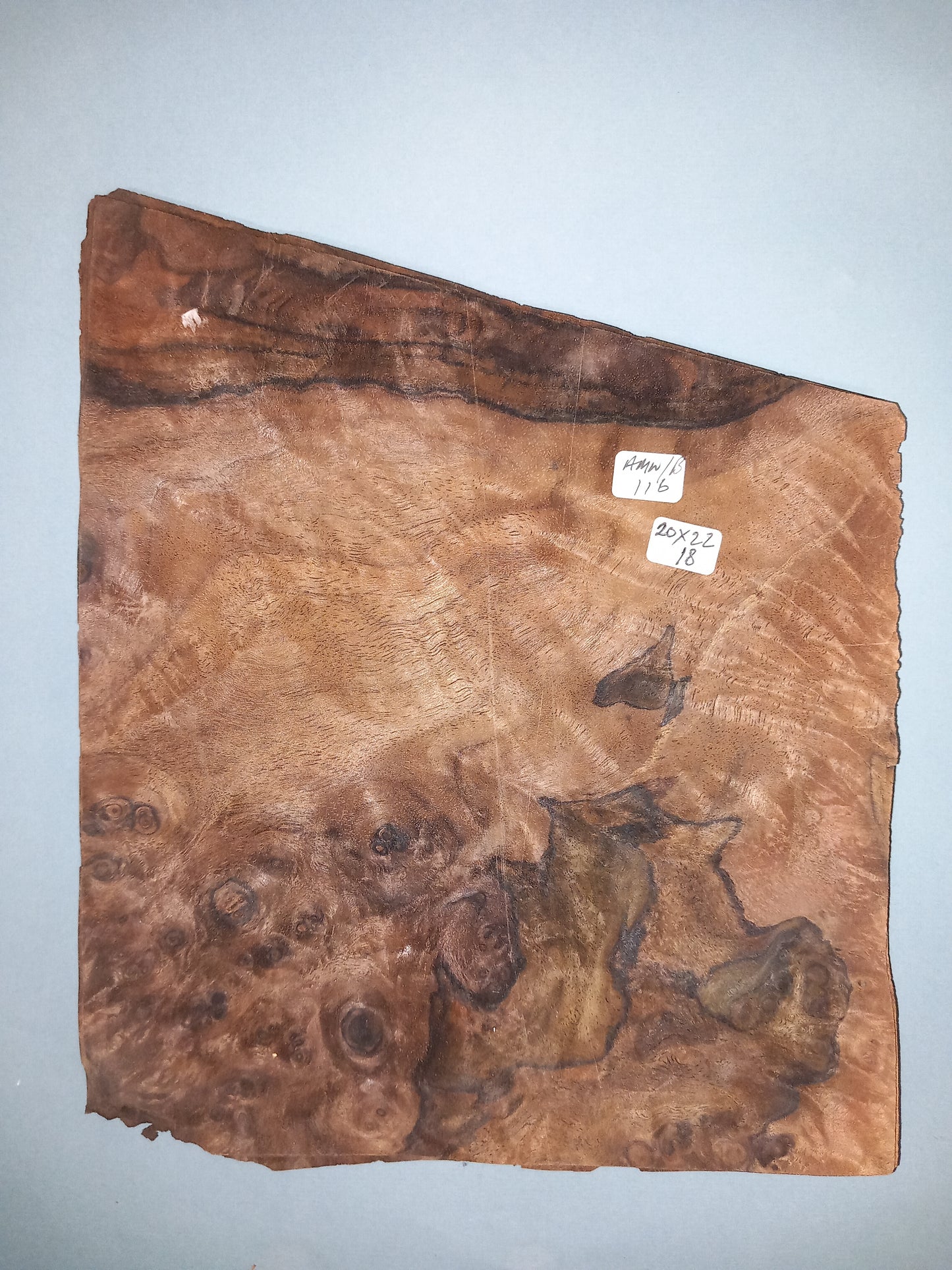 CONSECUTIVE SHEETS OF AMERICAN WALNUT BURR VENEER 20 X 22 CM