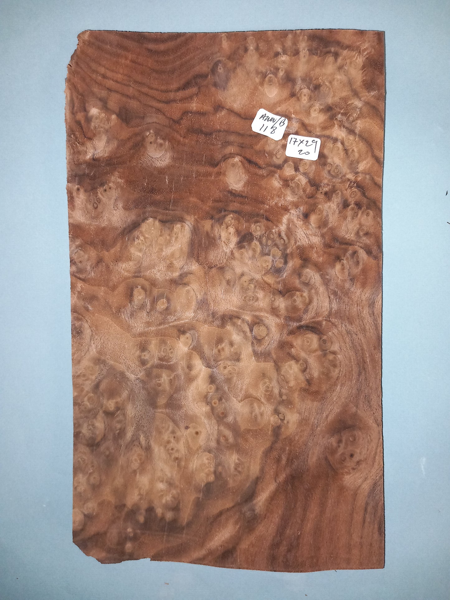 CONSECUTIVE SHEETS OF AMERICAN WALNUT BURR VENEER 17 X 29 CM