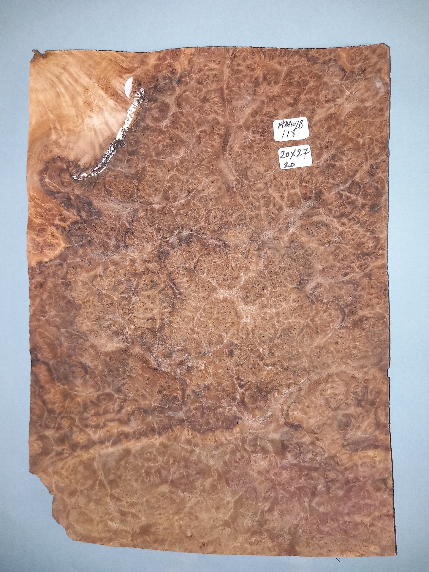 CONSECUTIVE SHEETS OF AMERICAN WALNUT BURR VENEER 20 X 27 CM