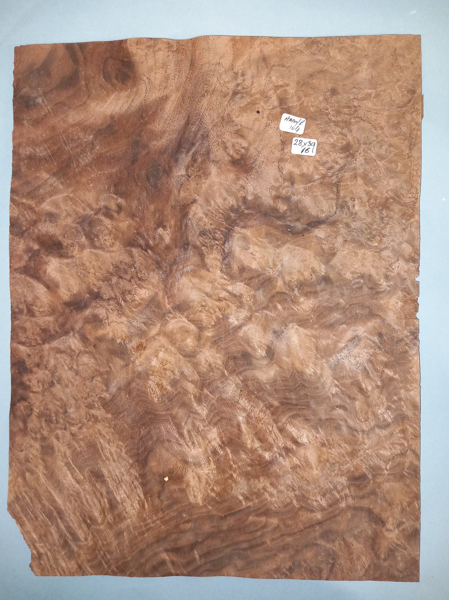 CONSECUTIVE SHEETS OF AMERICAN WALNUT BURR VENEER 28 X 39 CM