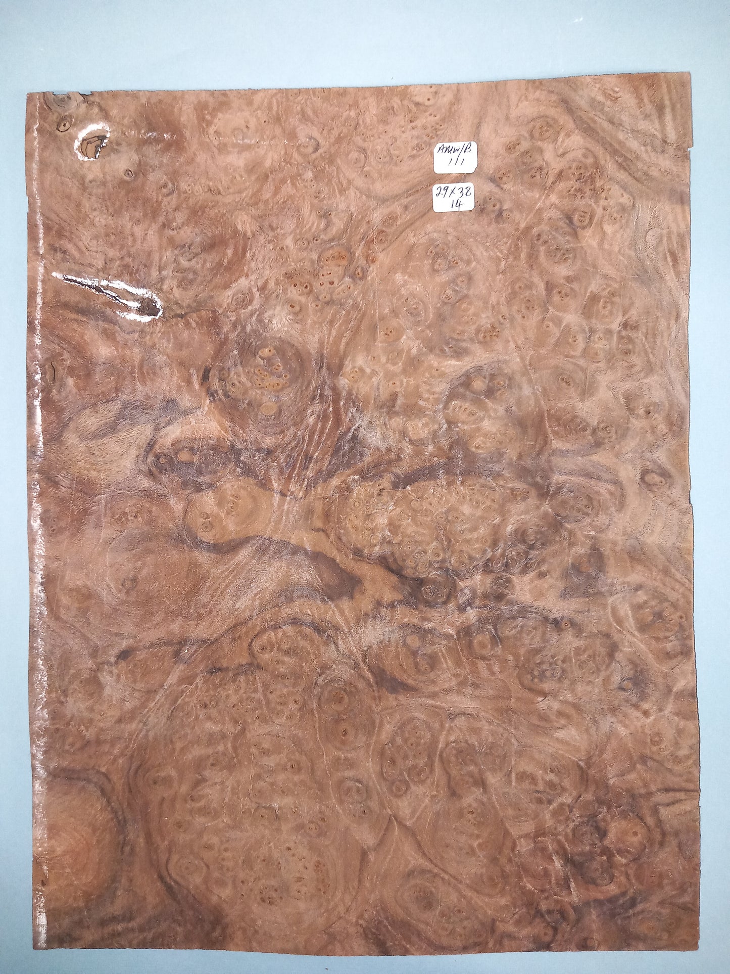 CONSECUTIVE SHEETS OF AMERICAN WALNUT BURR VENEER 29 X 38 CM
