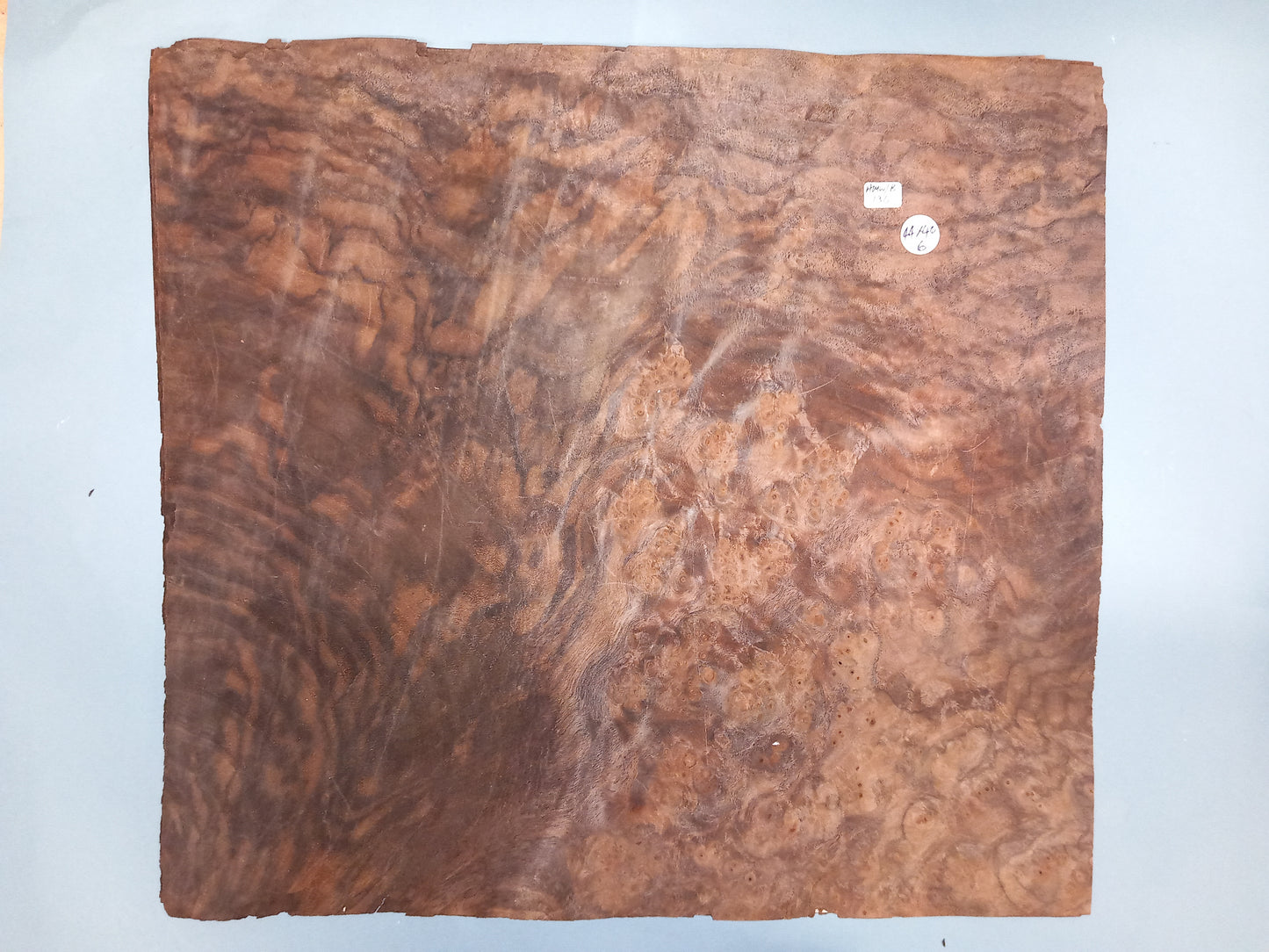 CONSECUTIVE SHEETS OF AMERICAN WALNUT BURR VENEER 44 X 40 CM