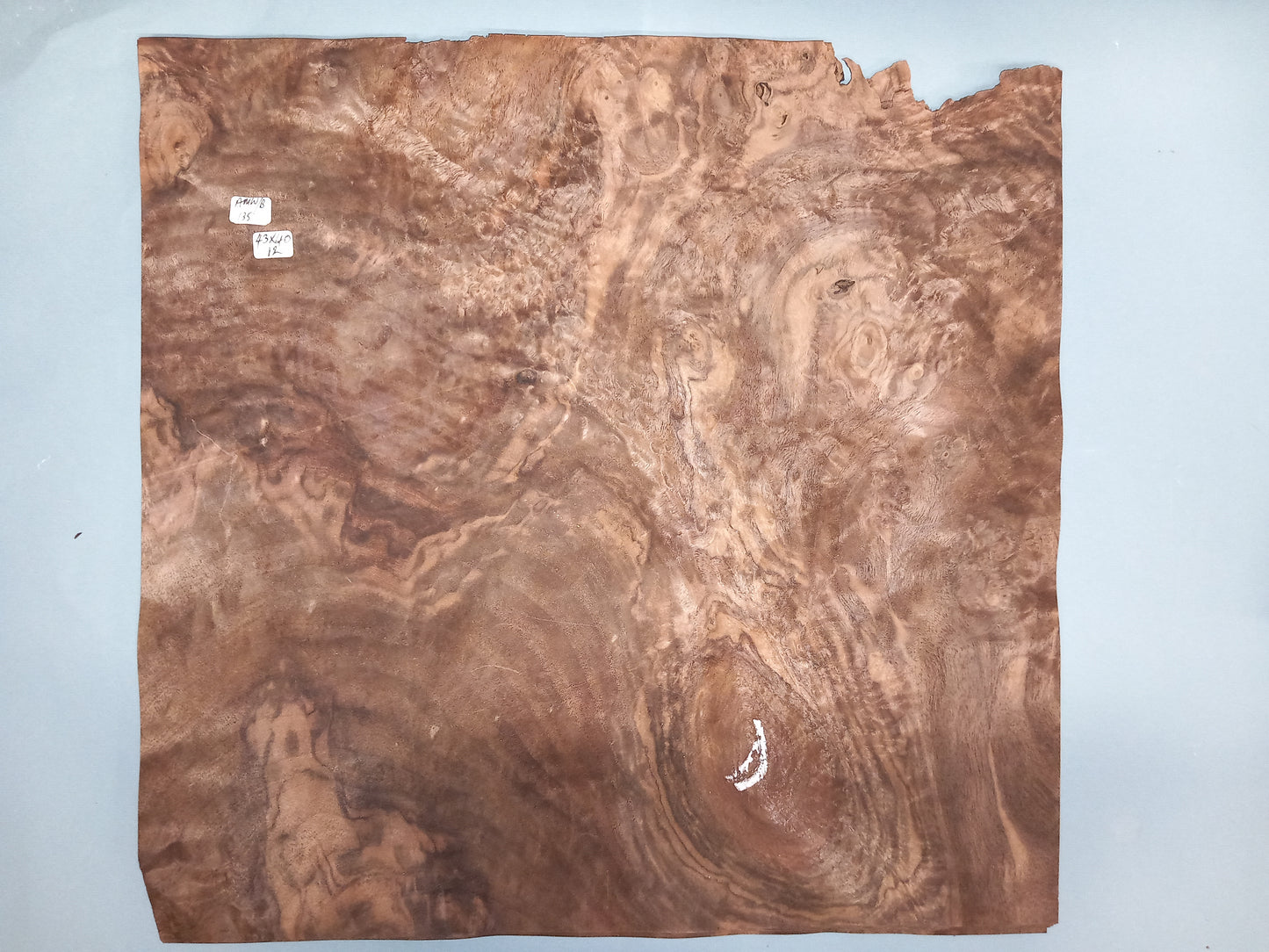 CONSECUTIVE SHEETS OF AMERICAN WALNUT BURR VENEER 43 X 40 CM