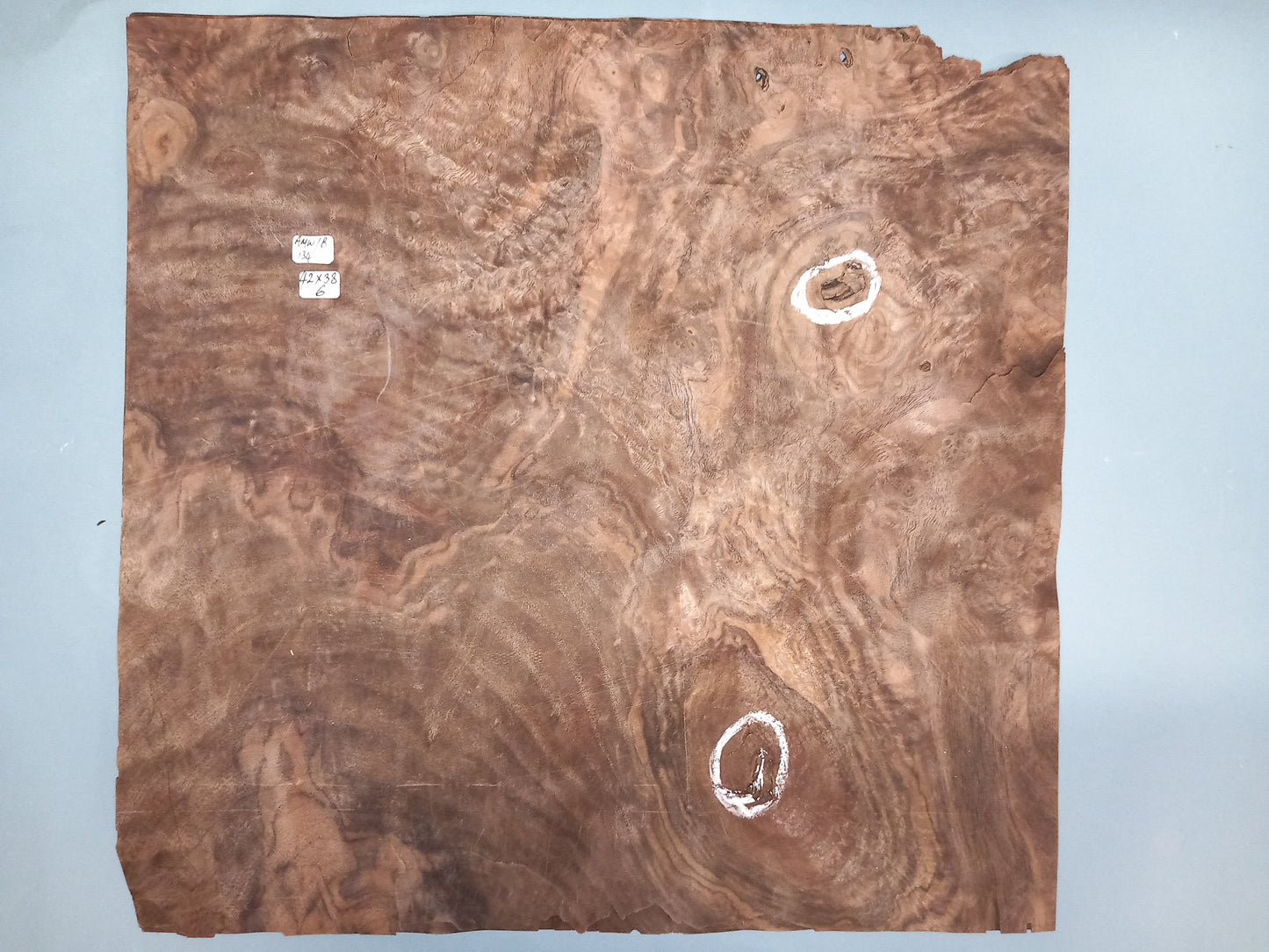 CONSECUTIVE SHEETS OF AMERICAN WALNUT BURR VENEER 42 X 38 CM