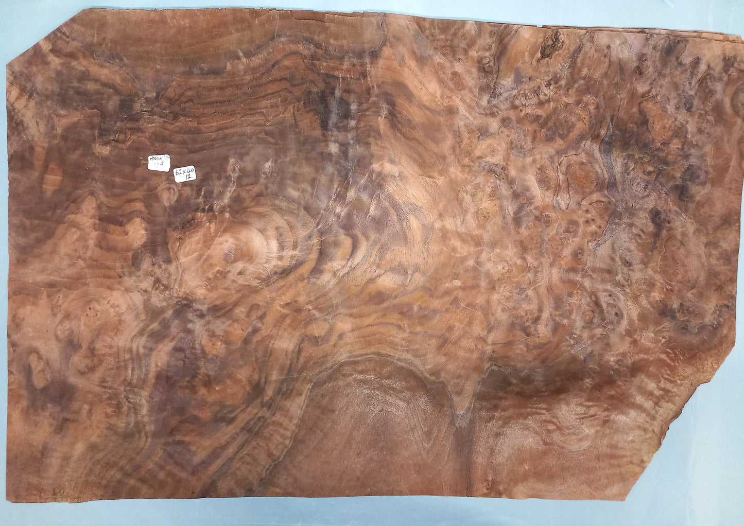 CONSECUTIVE SHEETS OF AMERICAN WALNUT BURR VENEER 62 X 40 CM