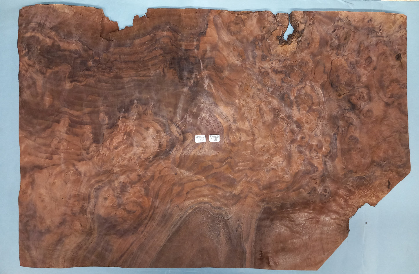 CONSECUTIVE SHEETS OF AMERICAN WALNUT BURR VENEER 37 X 66 CM