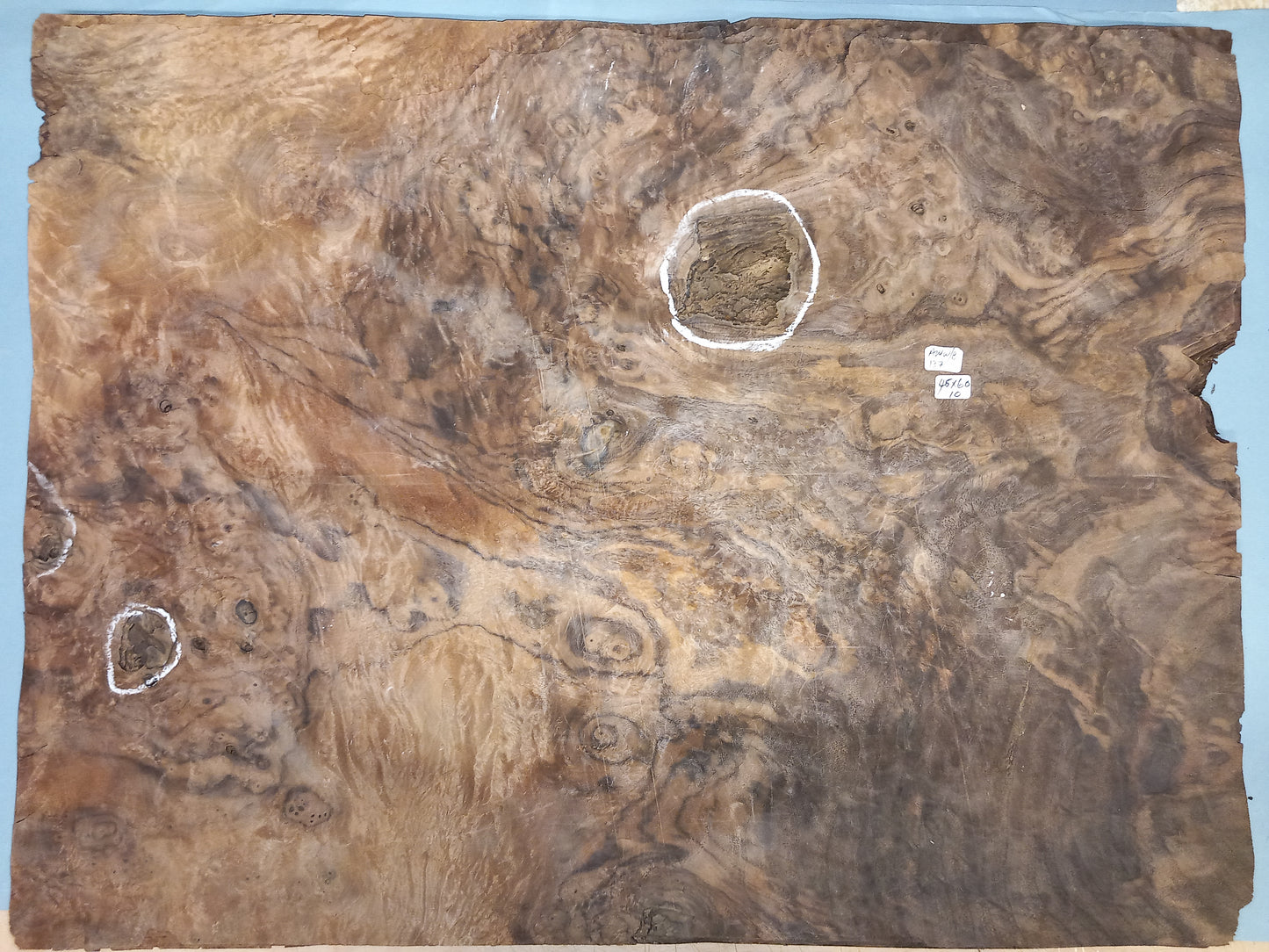 CONSECUTIVE SHEETS OF AMERICAN WALNUT BURR VENEER 45 X 60 CM