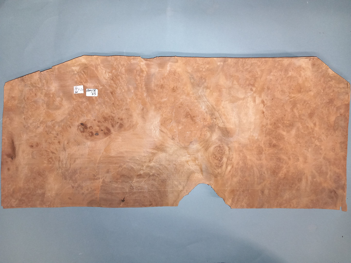 CONSECUTIVE SHEETS OF EUROPEAN WALNUT BURR VENEER 54 X 20 CM