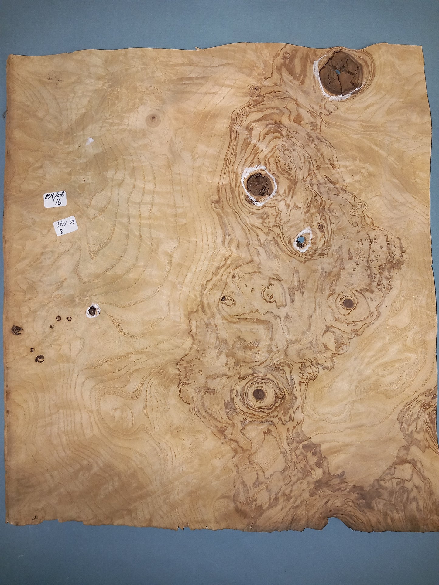 CONSECUTIVE SHEETS OF OLIVE ASH BURR VENEER 36 X 33 CM