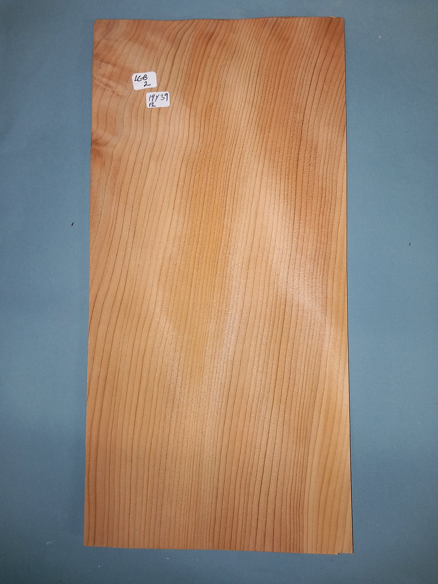 CONSECUTIVE SHEETS OF LEBANESE CEDAR VENEER 19 X 39 CM