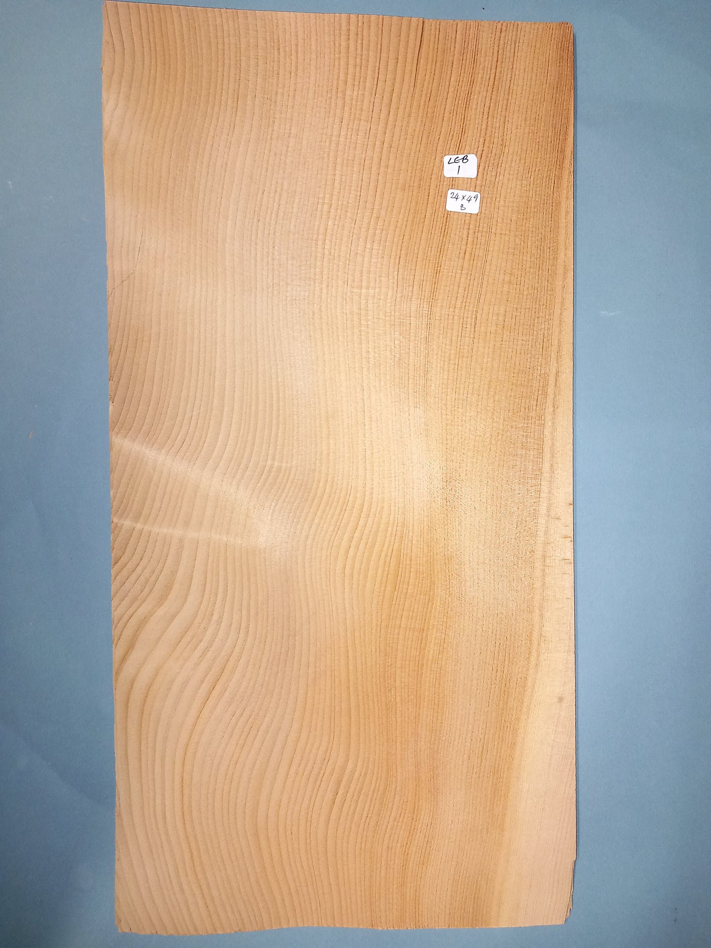 CONSECUTIVE SHEETS OF LEBANESE CEDAR VENEER 24 X 49 CM