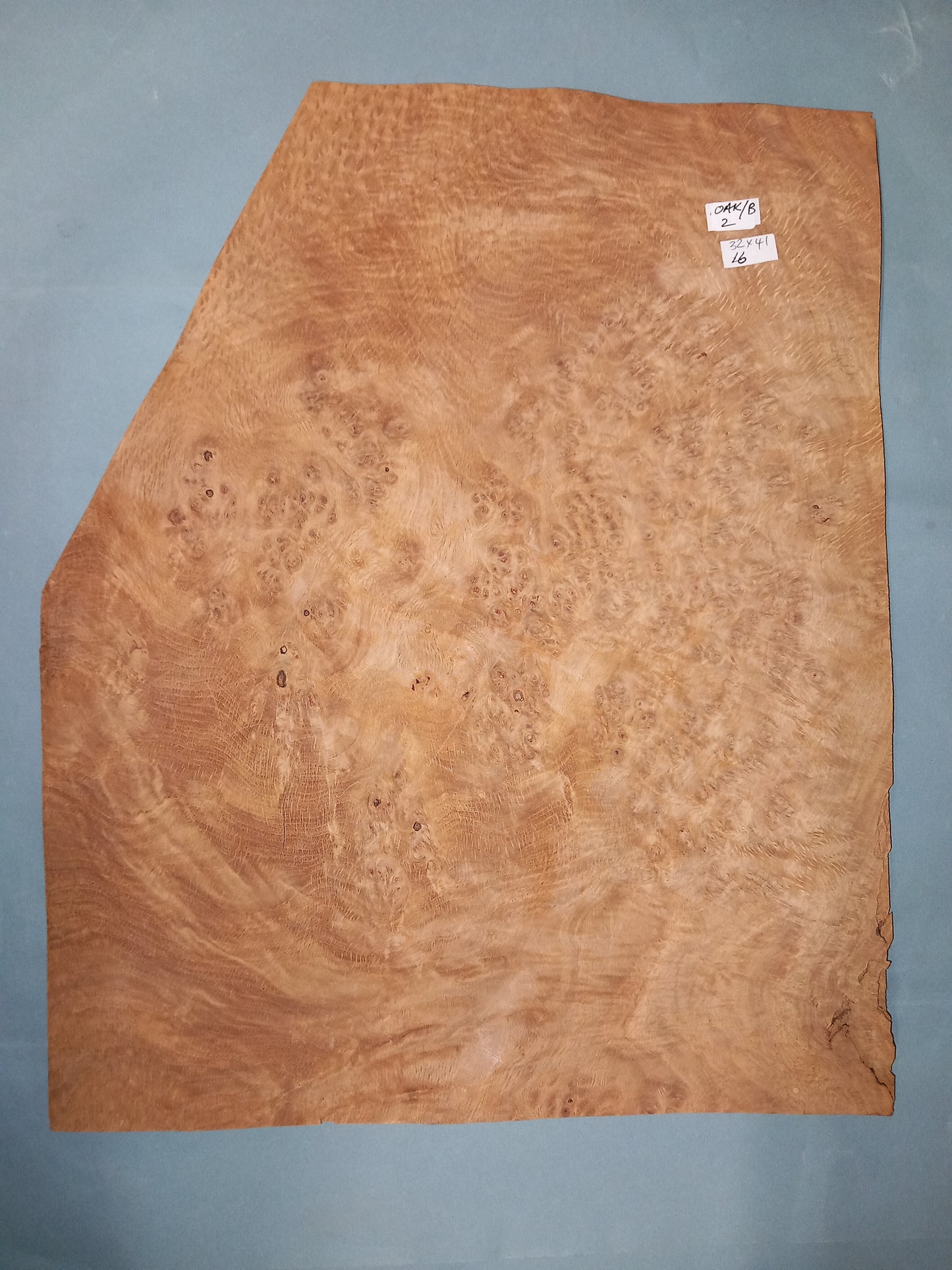 LARGE CONSECUTIVE SHEETS OF OAK BURR VENEER 32 X 41 CM