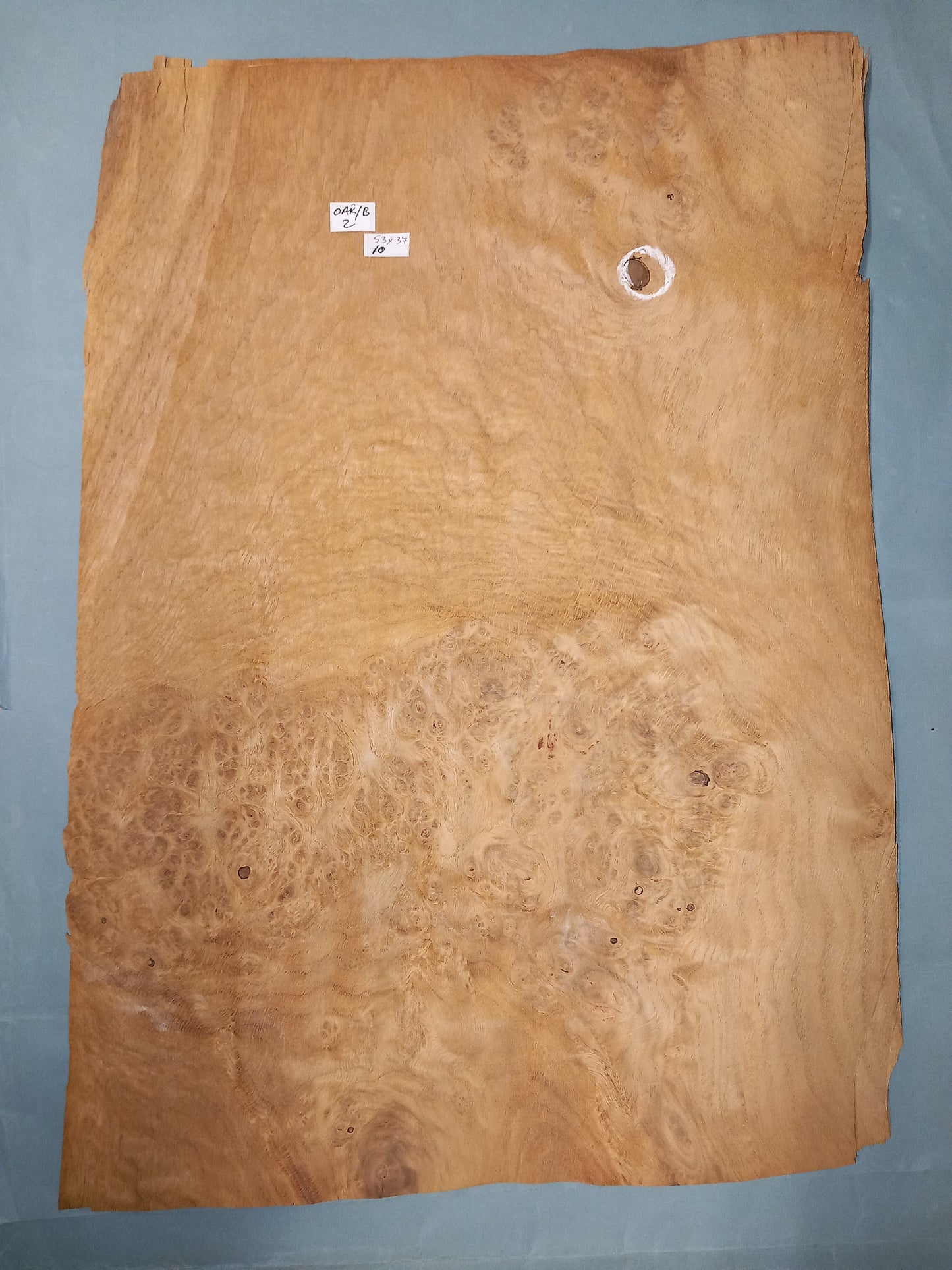 LARGE CONSECUTIVE SHEETS OF OAK BURR VENEER 53 X 37 CM