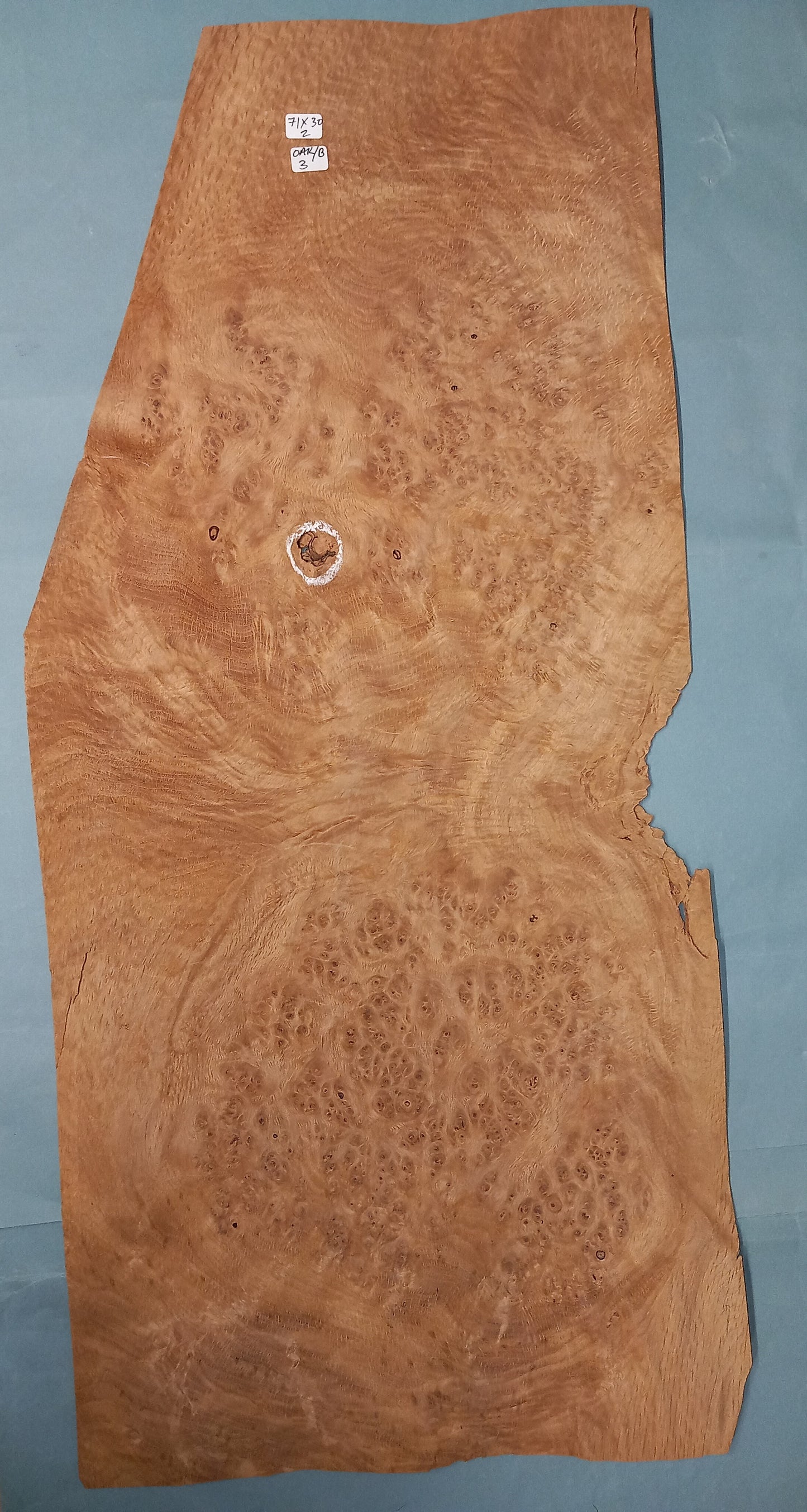 LARGE CONSECUTIVE SHEET OF OAK BURR VENEER 71 X 30 CM