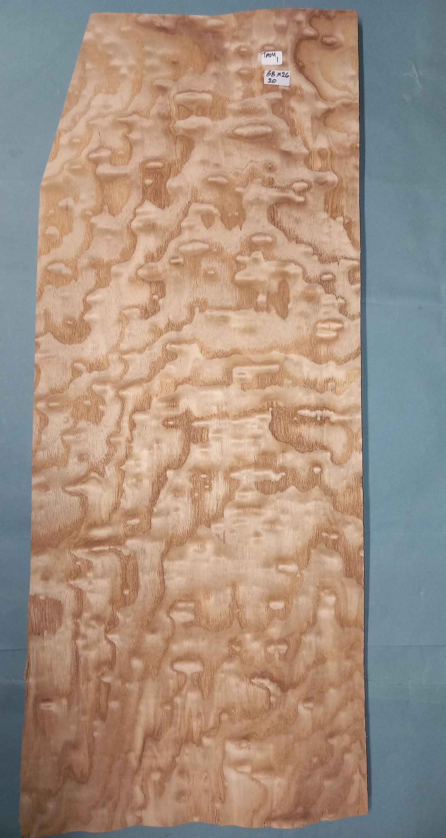LARGE CONSECUTIVE SHEETS OF TAMO ASH VENEER 68 X 26 CM