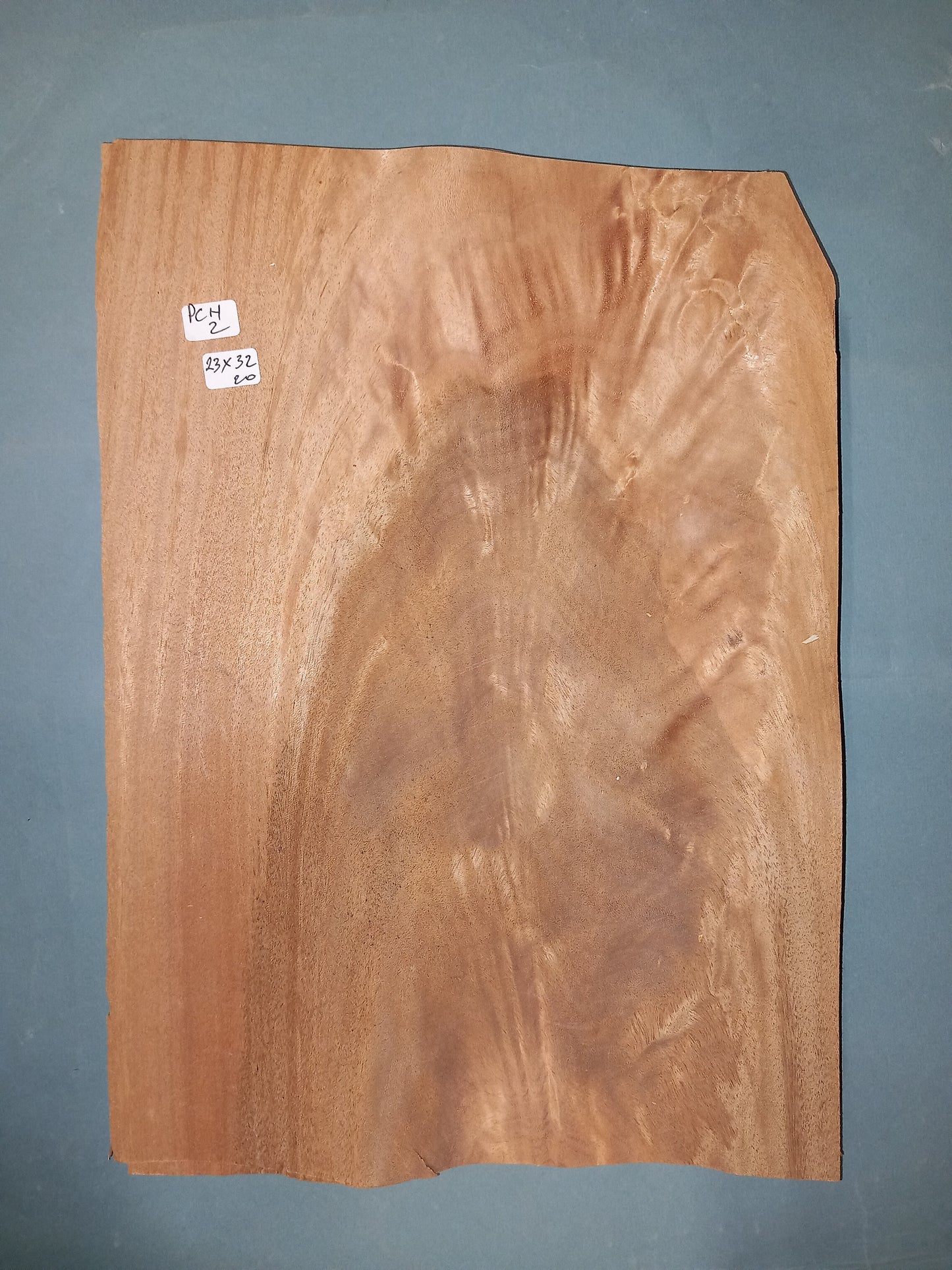 PALE CURL - 1 CONSECUTIVE SHEET 23x32cm