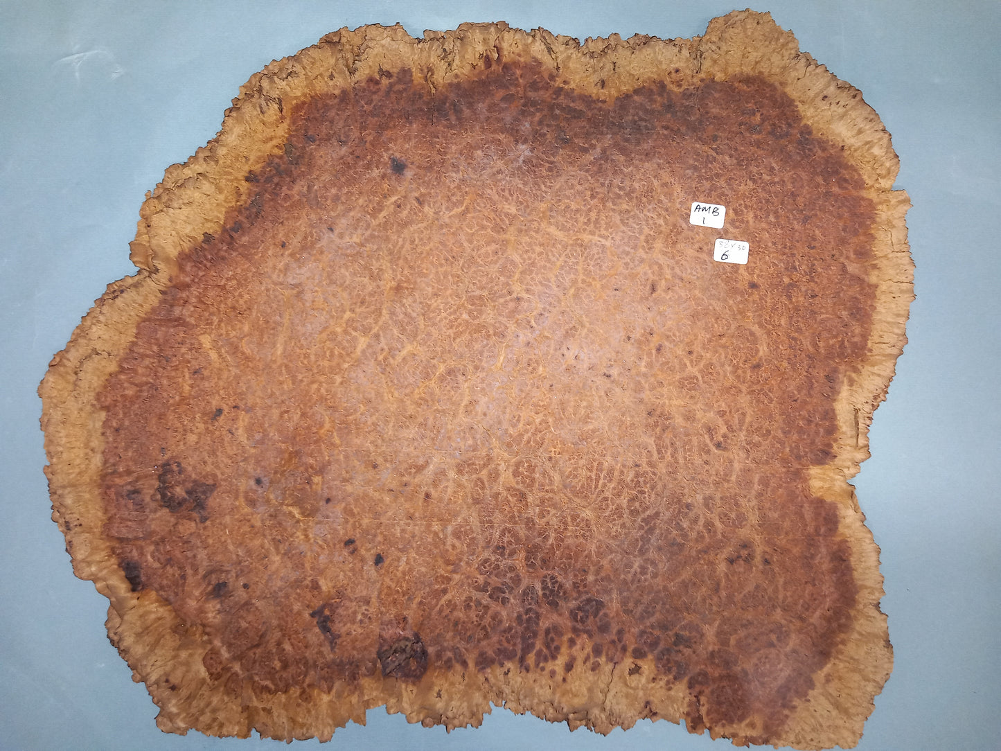 AMBOYNA - 1 CONSECUTIVE SHEET 38x30cm