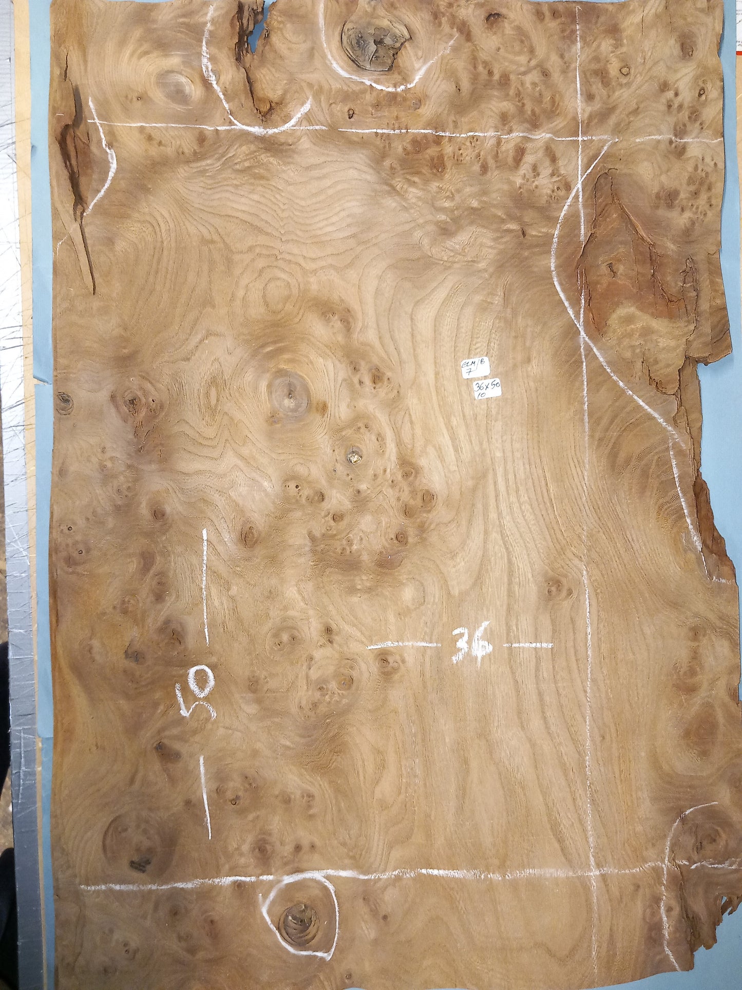 ELM BURR - 1 CONSECUTIVE SHEET 36x50cm