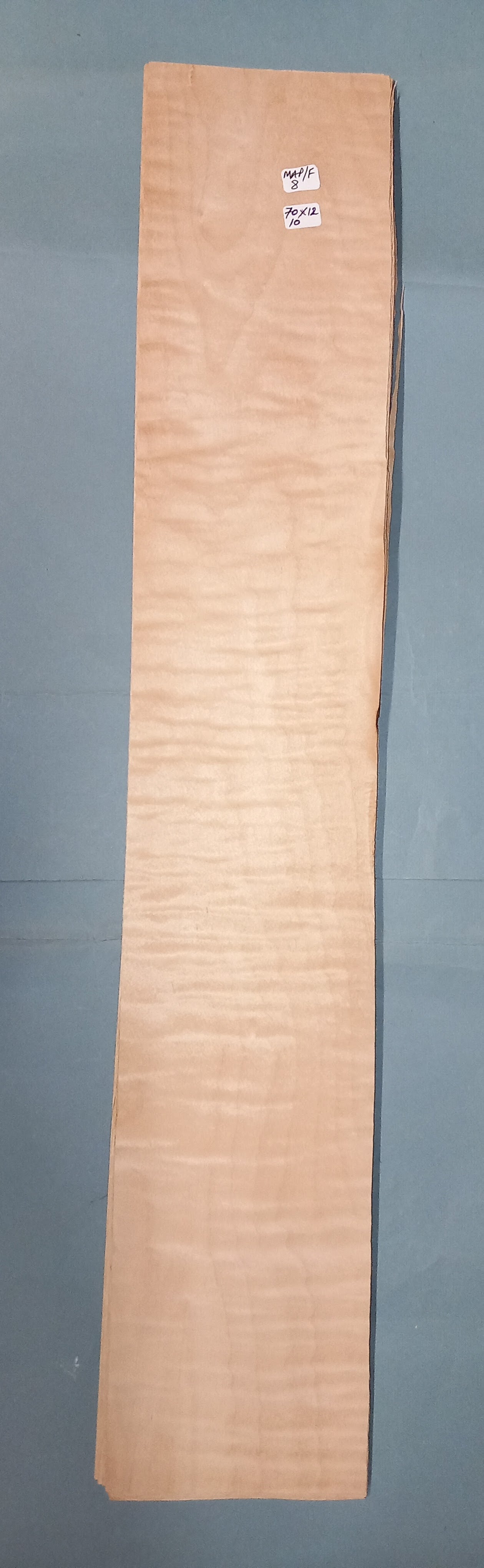 LARGE CONSECUTIVE SHEETS OF FIGURED MAPLE VENEER 70 X 12 CM