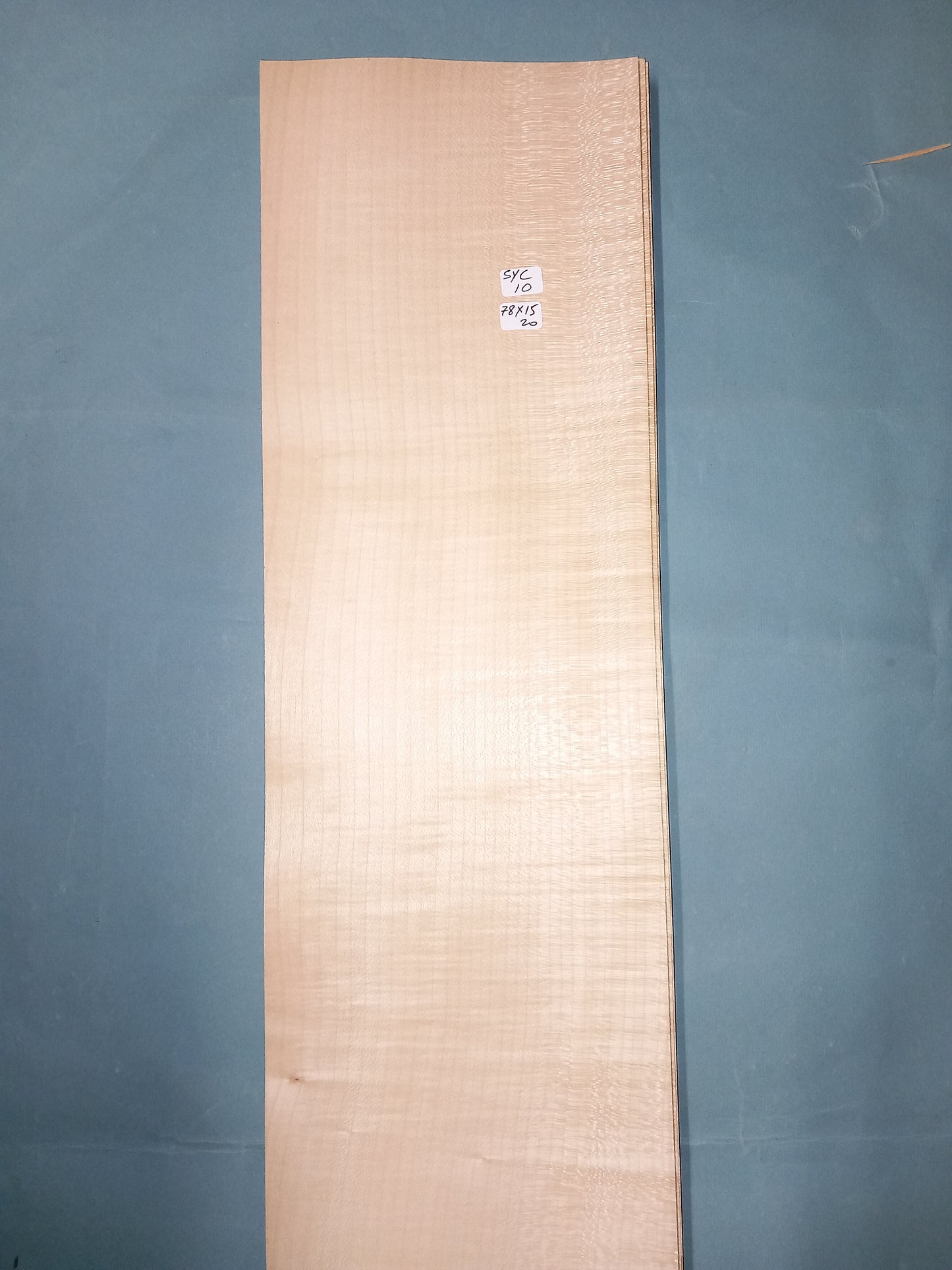 LARGE CONSECUTIVE SHEETS OF SYCAMORE VENEER 78 X 15 CM