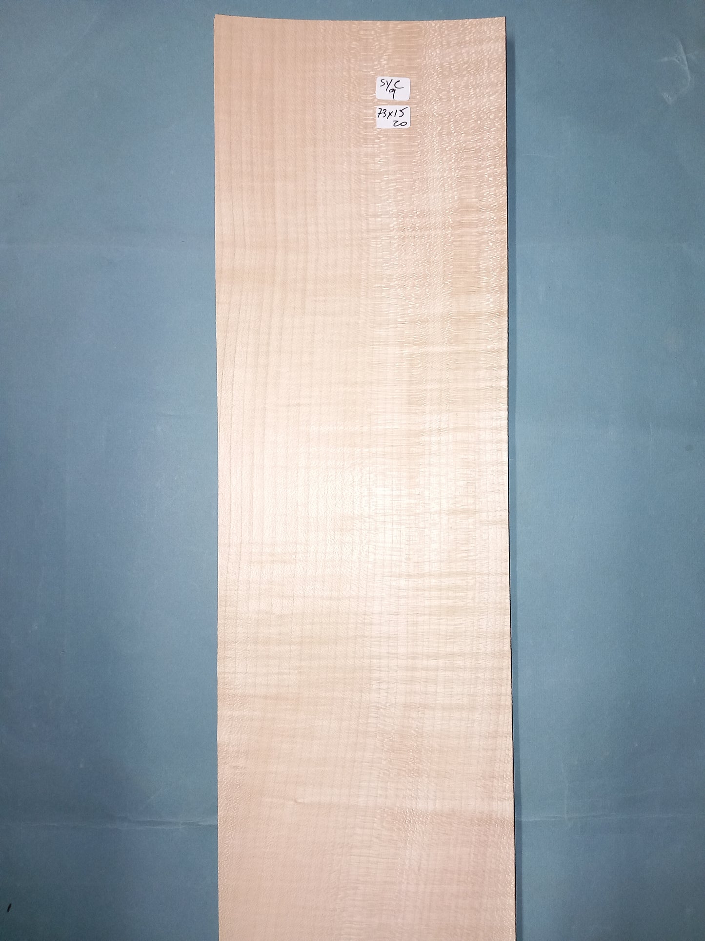 LARGE CONSECUTIVE SHEETS OF SYCAMORE VENEER 73 X 15 CM
