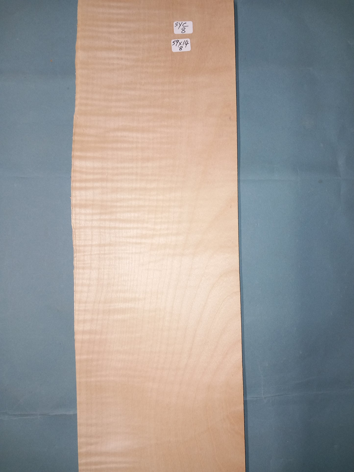 LARGE CONSECUTIVE SHEETS OF SYCAMORE VENEER 59 X 14 CM