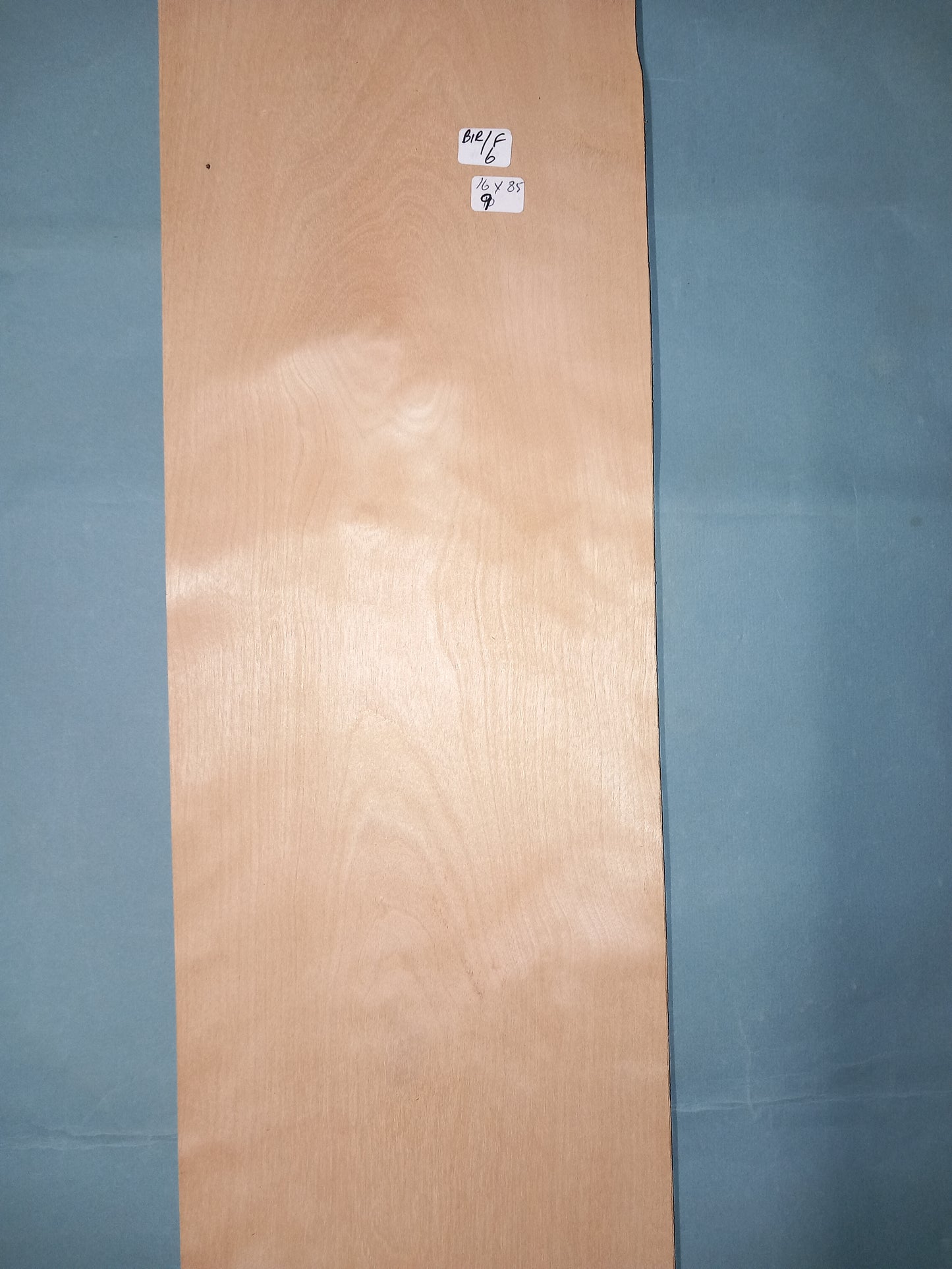 LARGE CONSECUTIVE SHEETS OF FIGURED BIRCH VENEER 16 X 85 CM