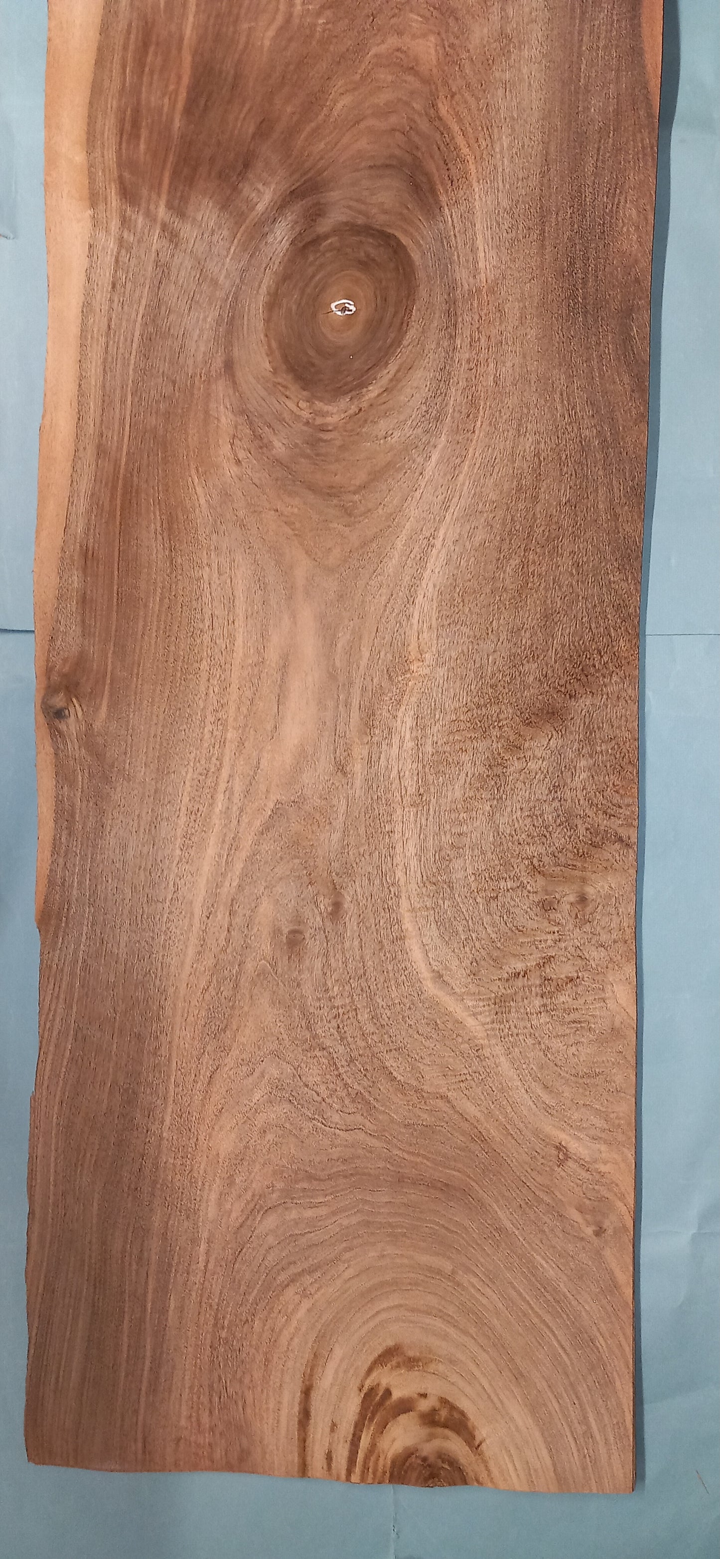 LARGE CONSECUTIVE SHEETS OF EUROPEAN WALNUT VENEER 140 X 35 CM