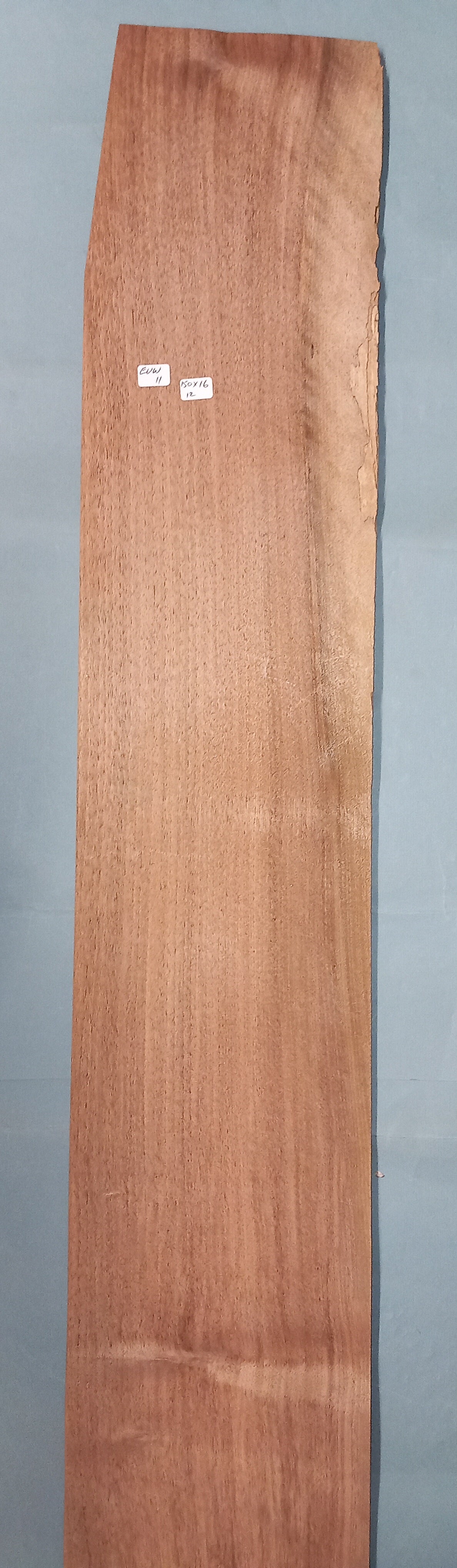LARGE CONSECUTIVE SHEETS OF EUROPEAN WALNUT VENEER 150 X 16 CM