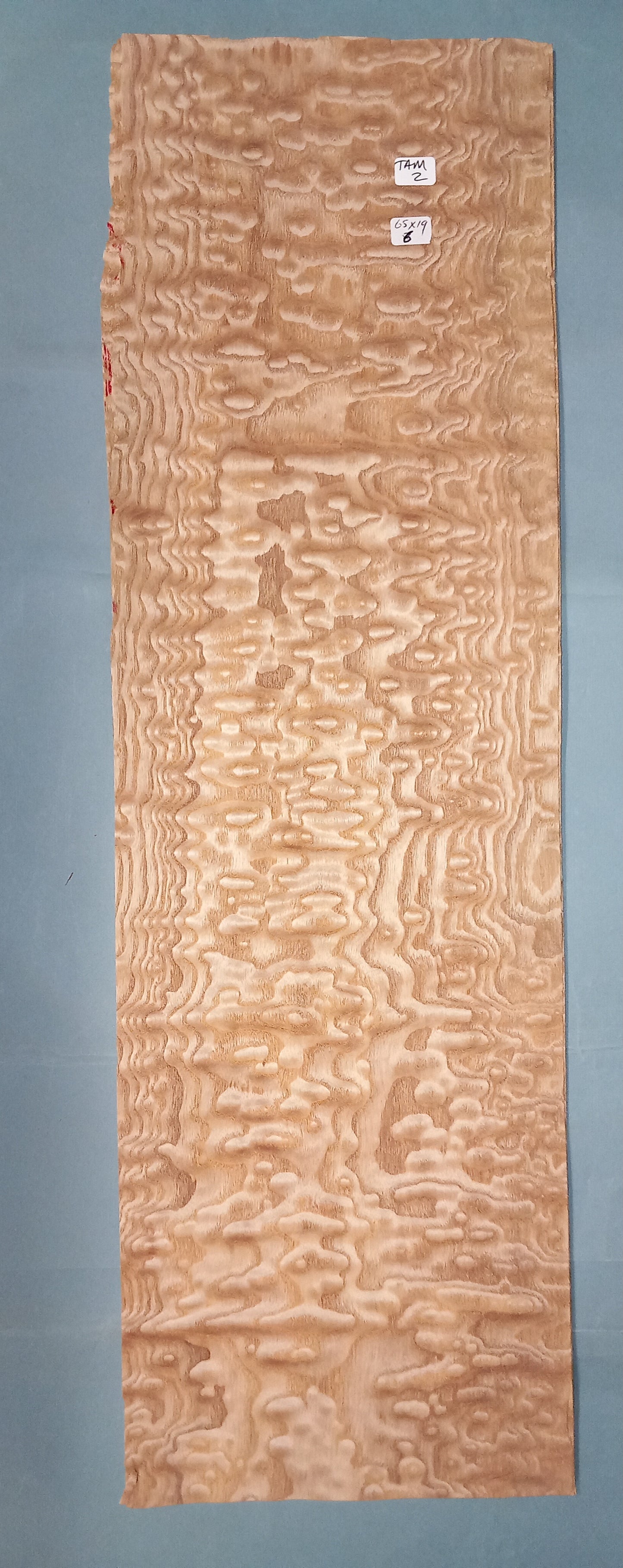 TAMO ASH - 1 CONSECUTIVE SHEET 19x65cm