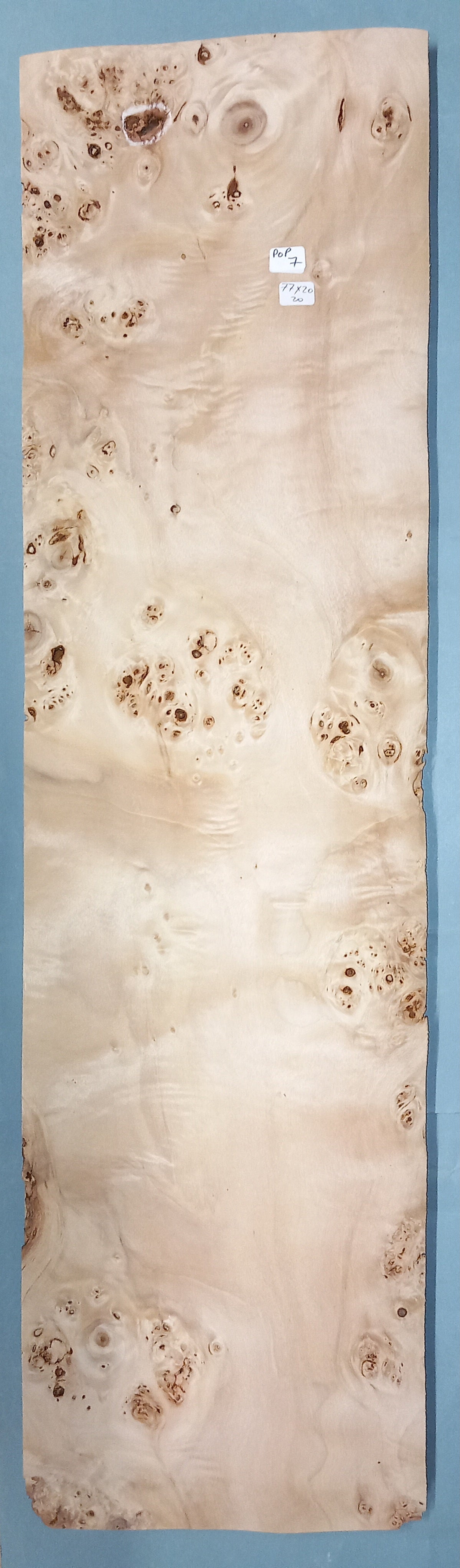 LARGE CONSECUTIVE SHEETS OF POPLAR BURR VENEER 77 X 20 CM