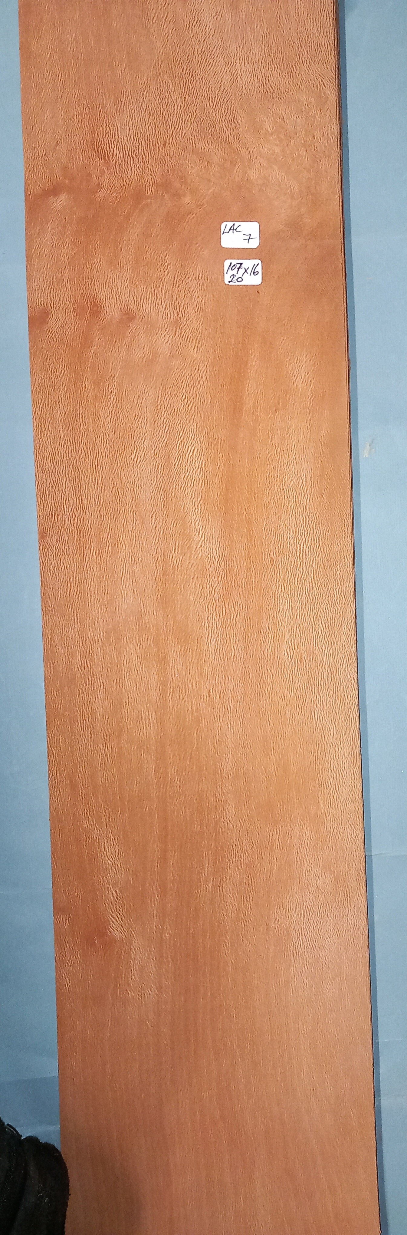 LARGE CONSECUTIVE SHEETS OF LACEWOOD CLUSTER VENEER 107 X 16 CM