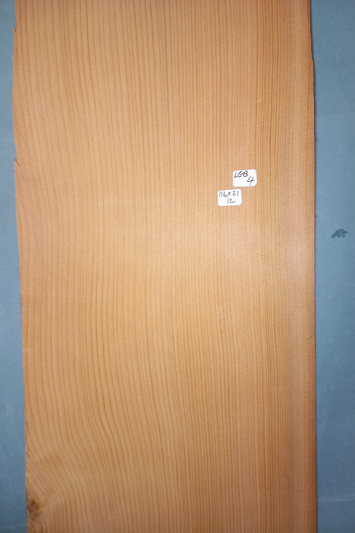 LARGE CONSECUTIVE SHEETS OF LEBANESE CEDAR VENEER 116 X 21 CM
