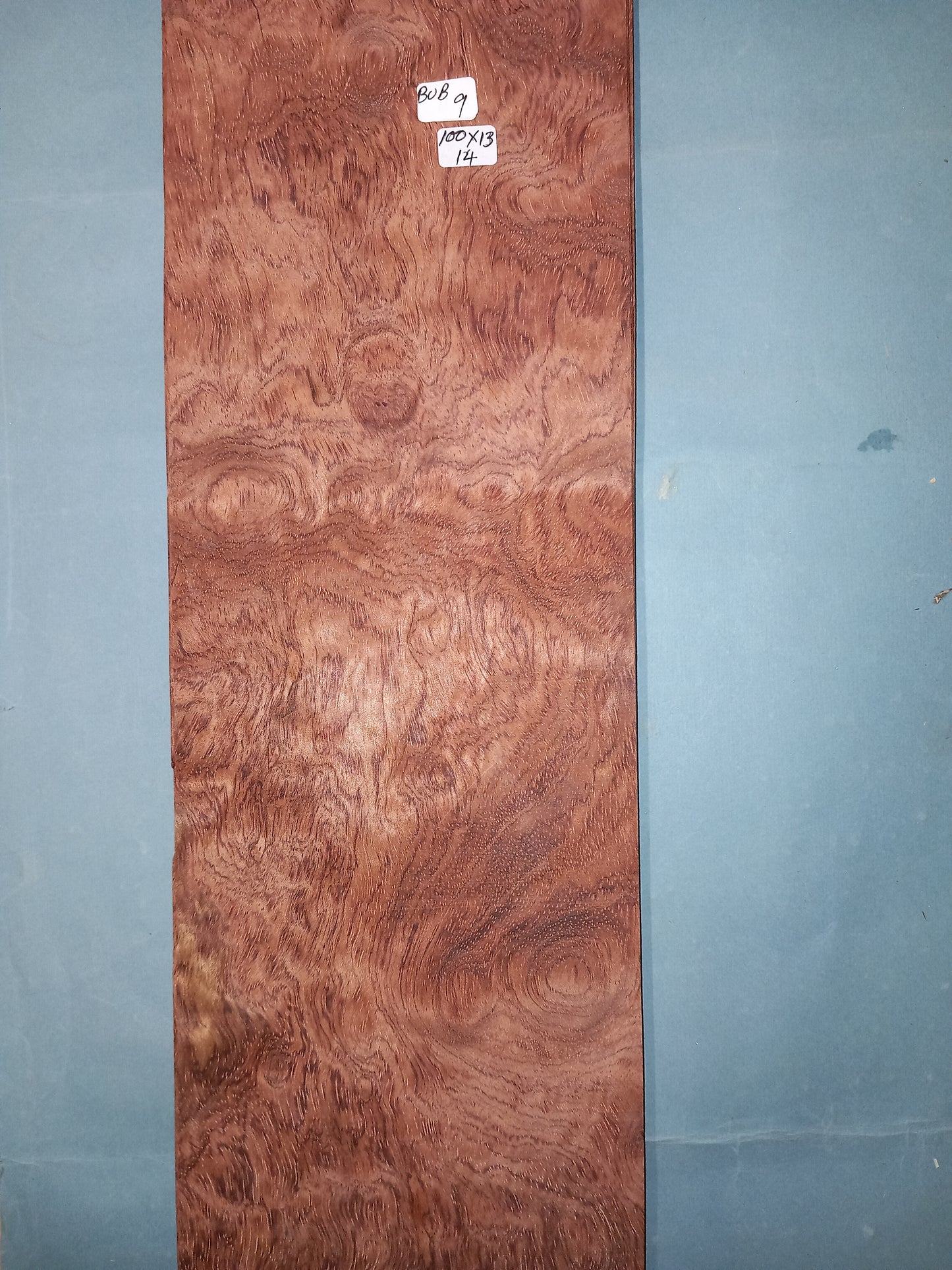 LARGE CONSECUTIVE SHEETS OF BUBINGA VENEER 100 X 13 CM