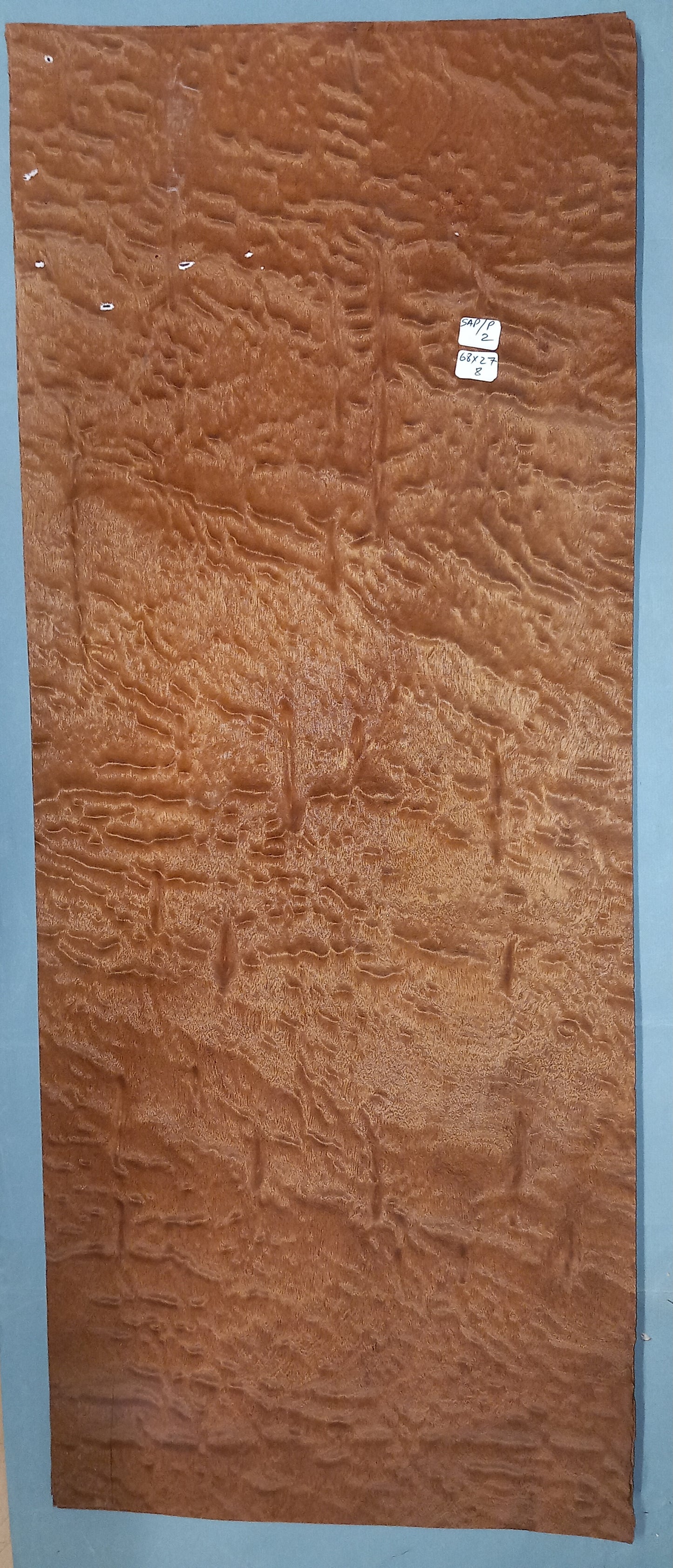 LARGE CONSECUTIVE SHEETS OF SAPELE POMELLE MAHOGANY 68 X 27 CM